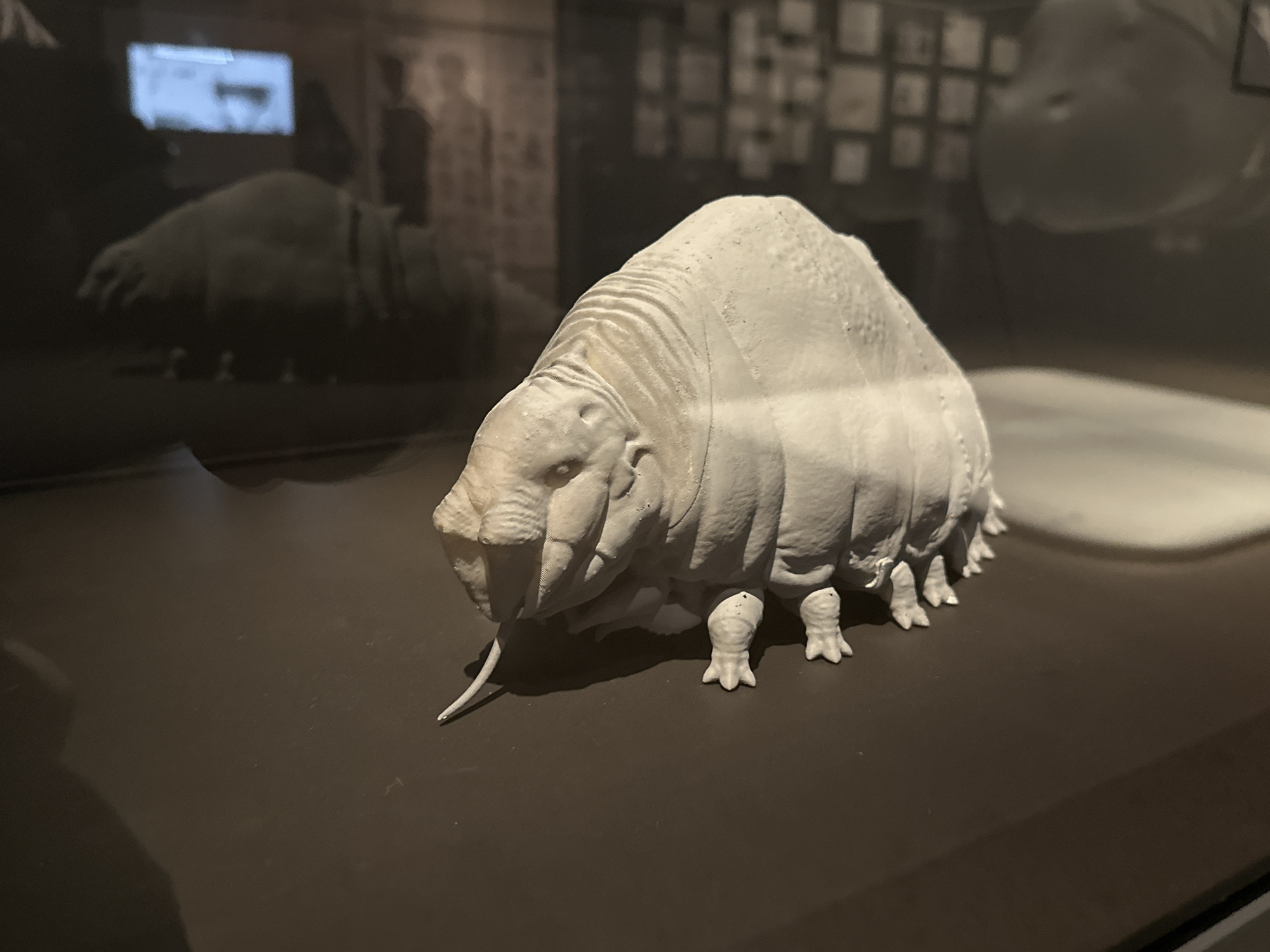 Evening museum visits documented at LA Academy Museum
