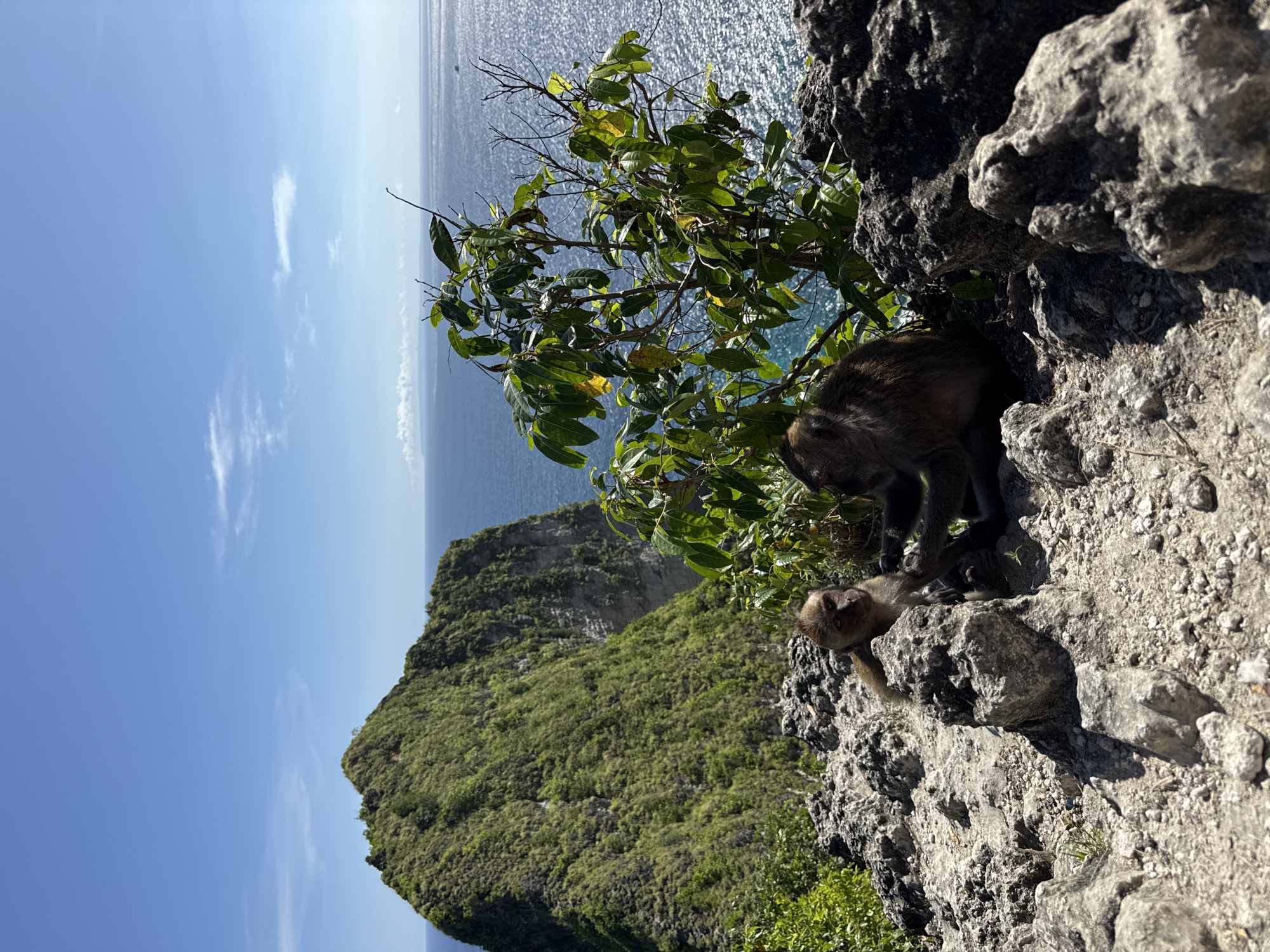 Tourists document famous T-Rex cliff at Kelingking Beach