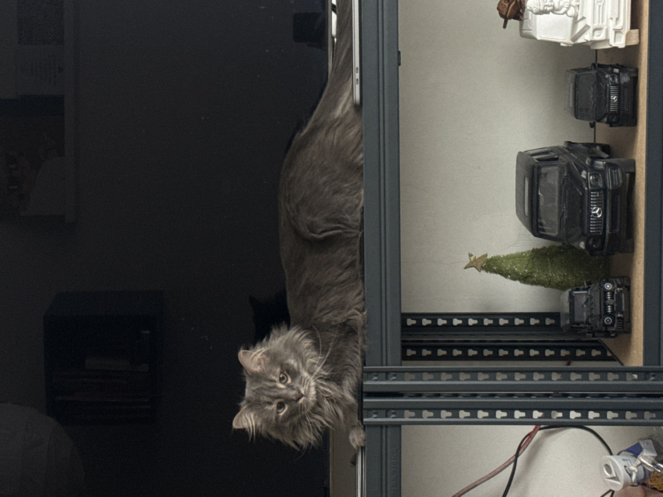 Moscow resident documents morning routine with cat and meal