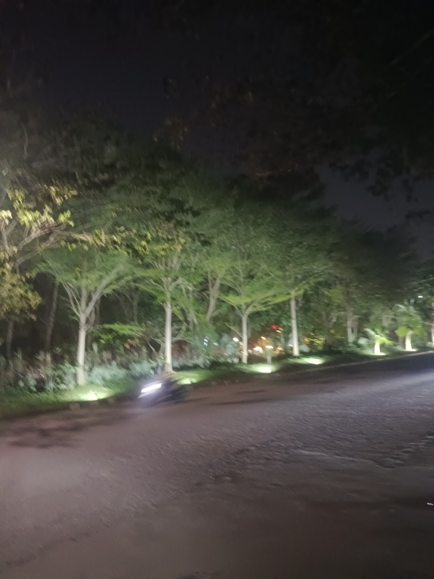 Nighttime urban journey documented through illuminated city streets