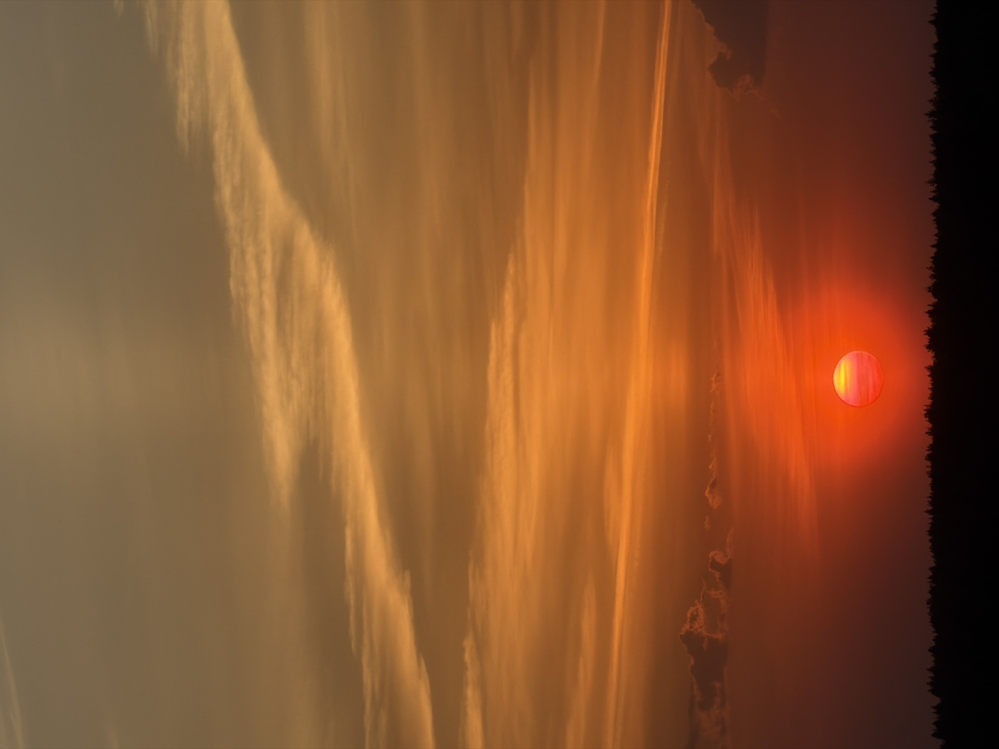 Witness captures spring blooms and sunset during afternoon documentation