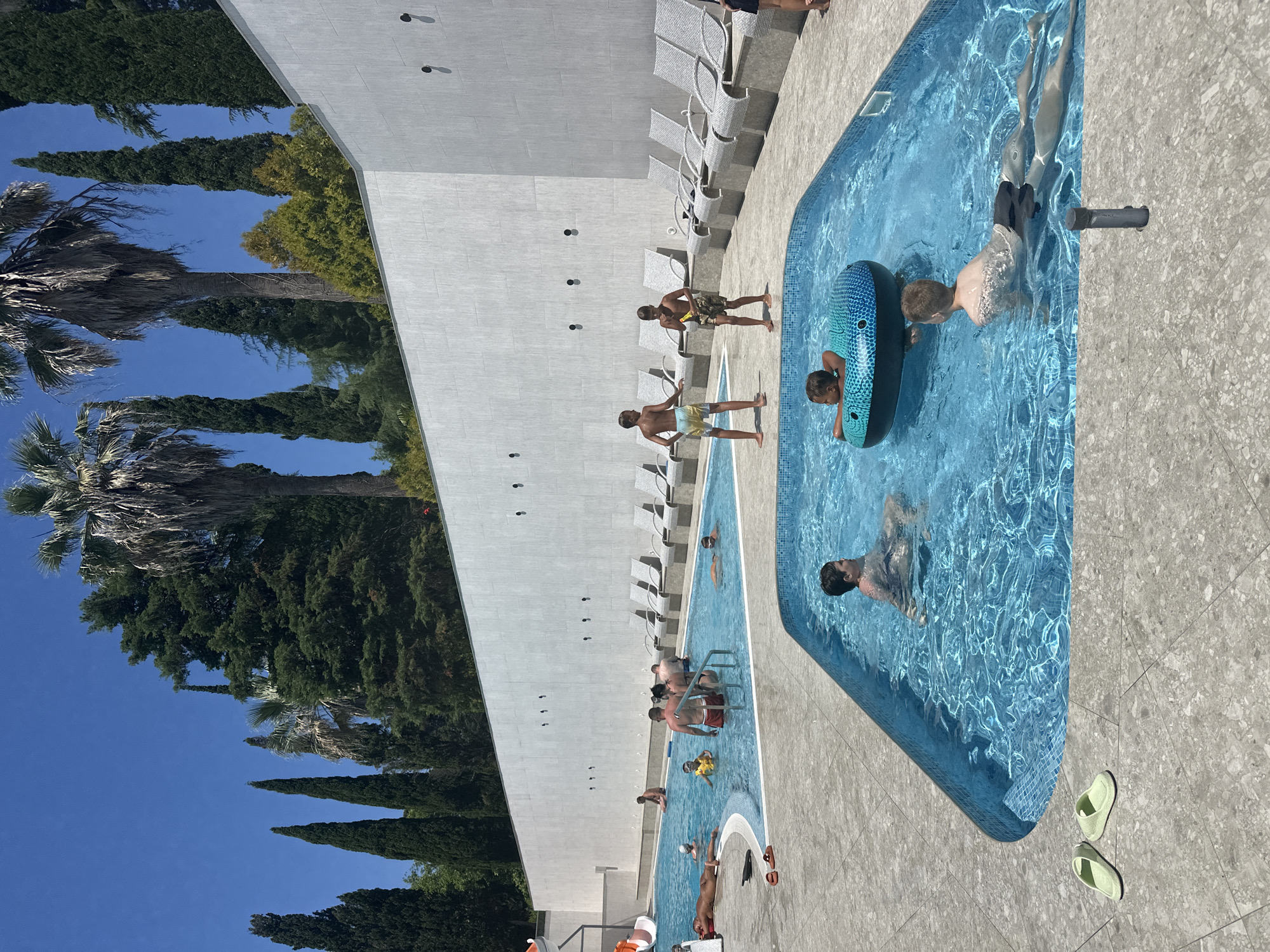 Poolside morning in Sochi includes an injured bird encounter