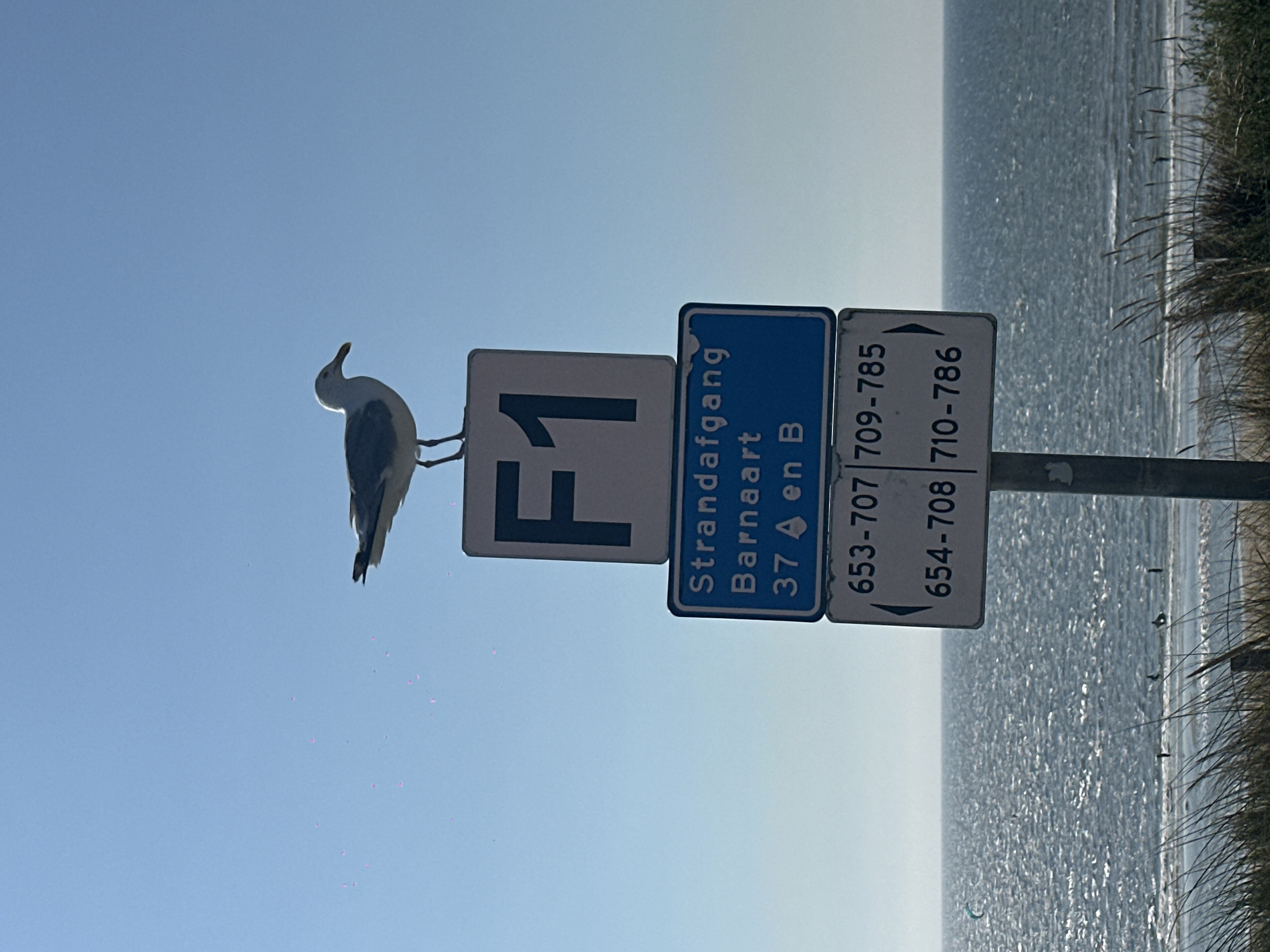 Zandvoort beach in full summer swing, F1 signage and all