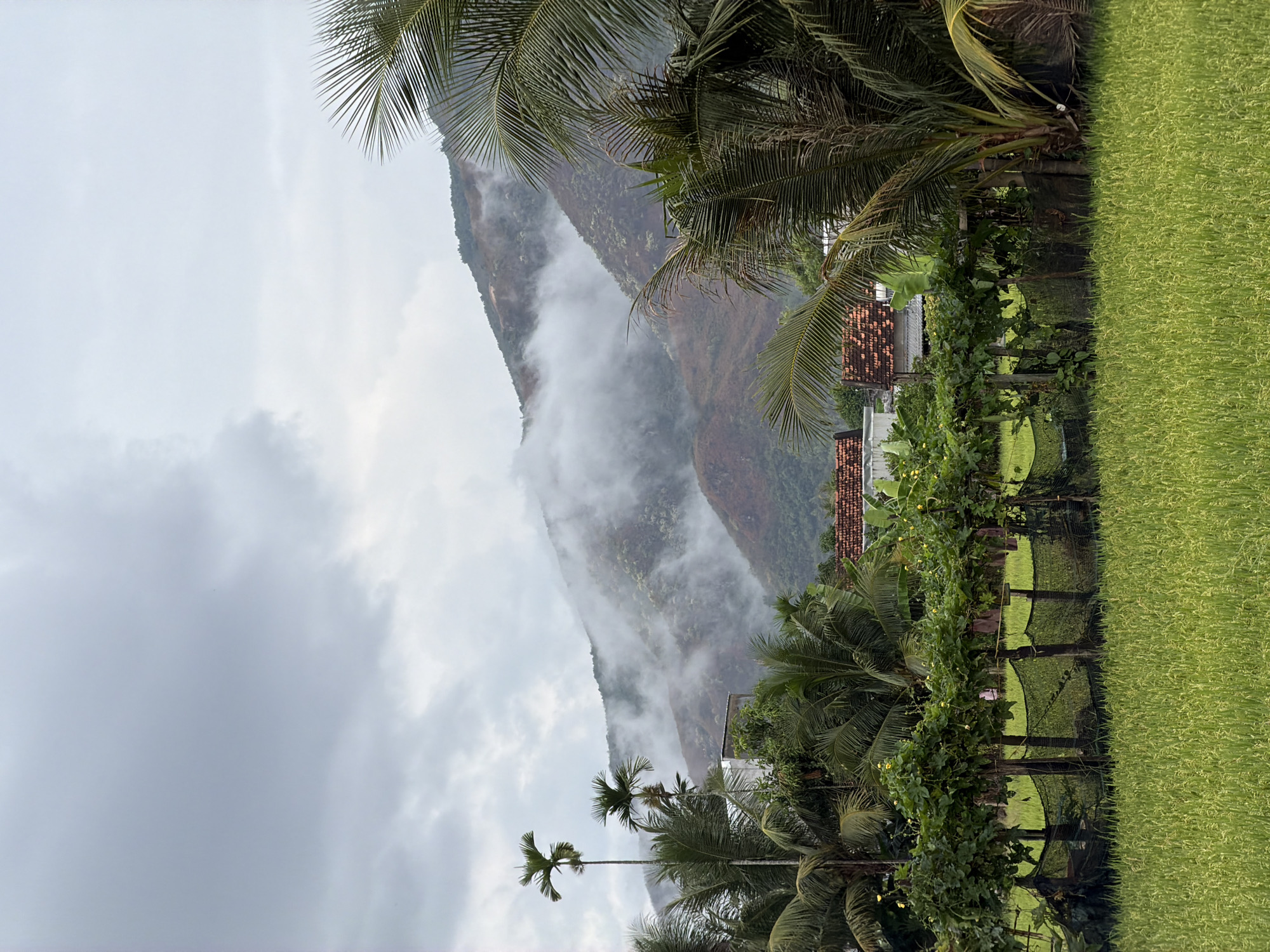 Misty morning landscapes documented in rural Diên Khánh, Vietnam