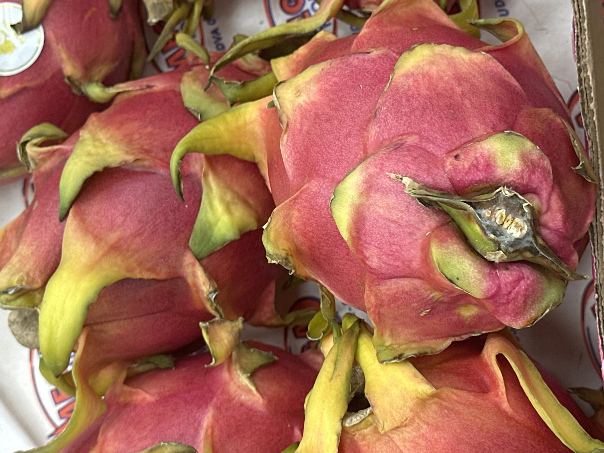 Fresh produce and flowers documented at Budva market