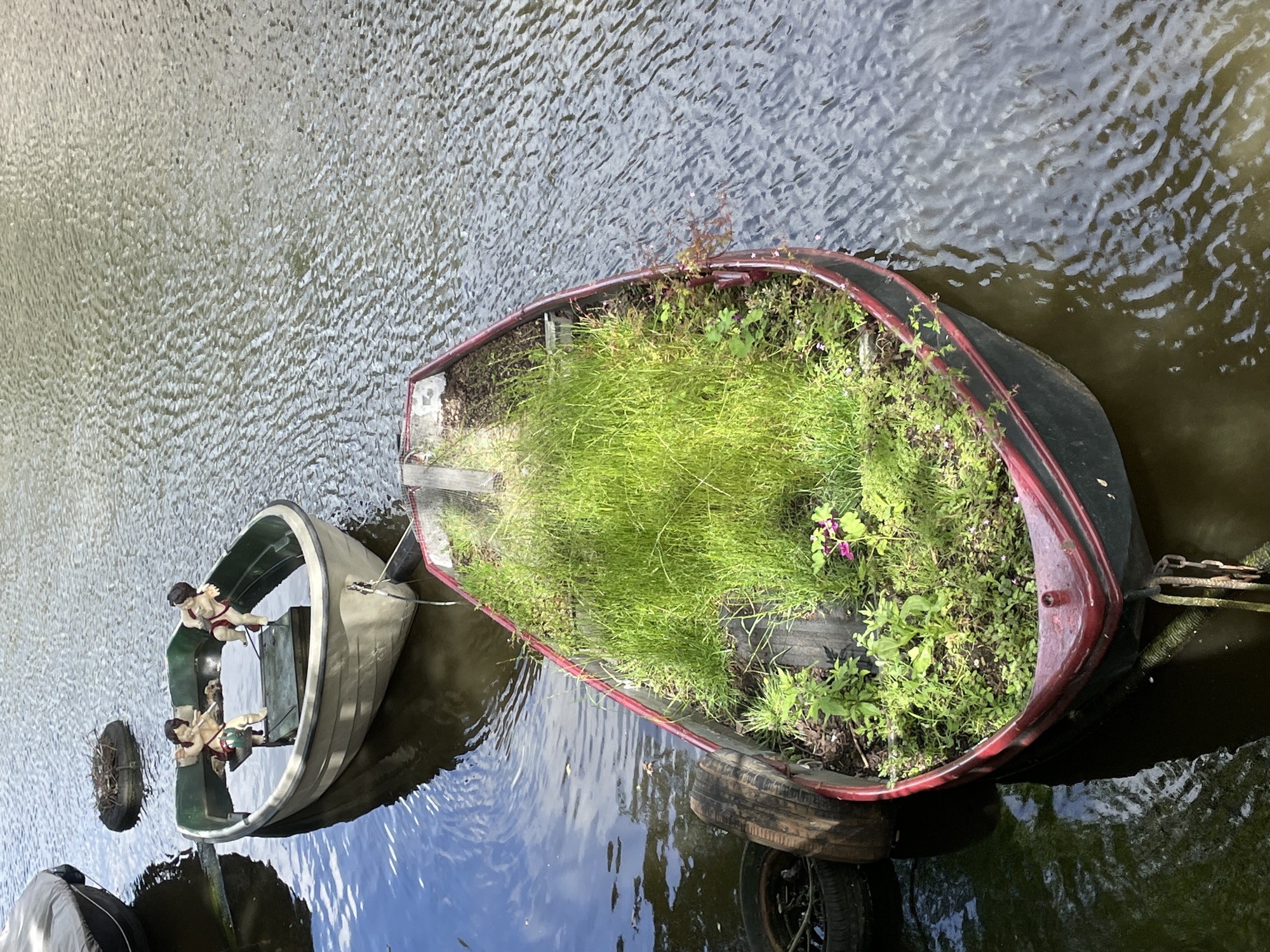 Tourist documents Amsterdam canal district scenes during sunny afternoon