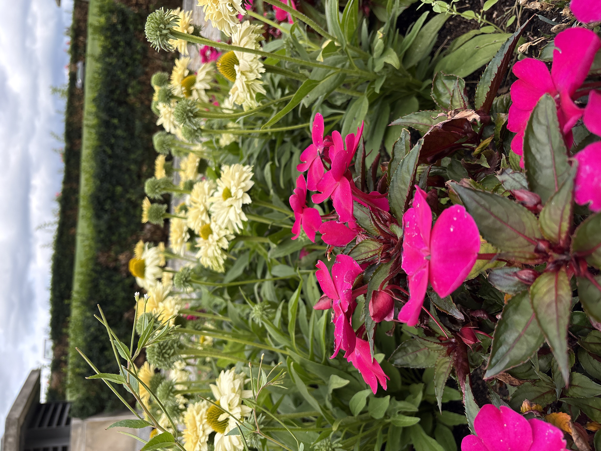 Colorful formal garden surrounds a grand classical building