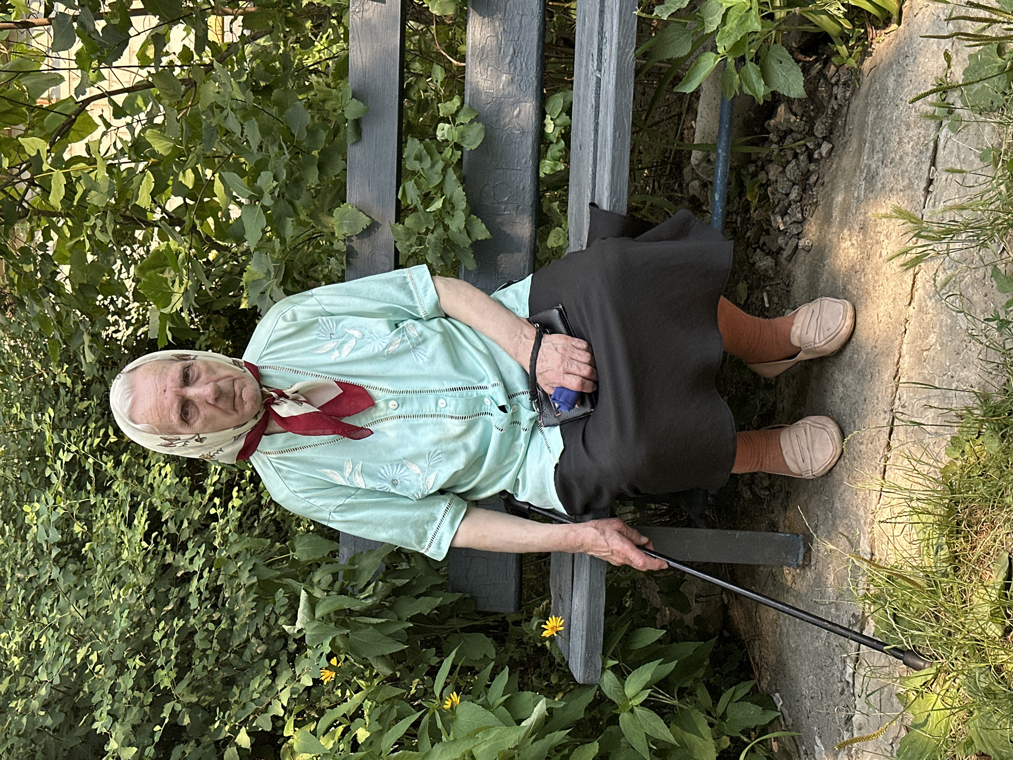 Flowers, a park bench, and a Kyiv summer afternoon