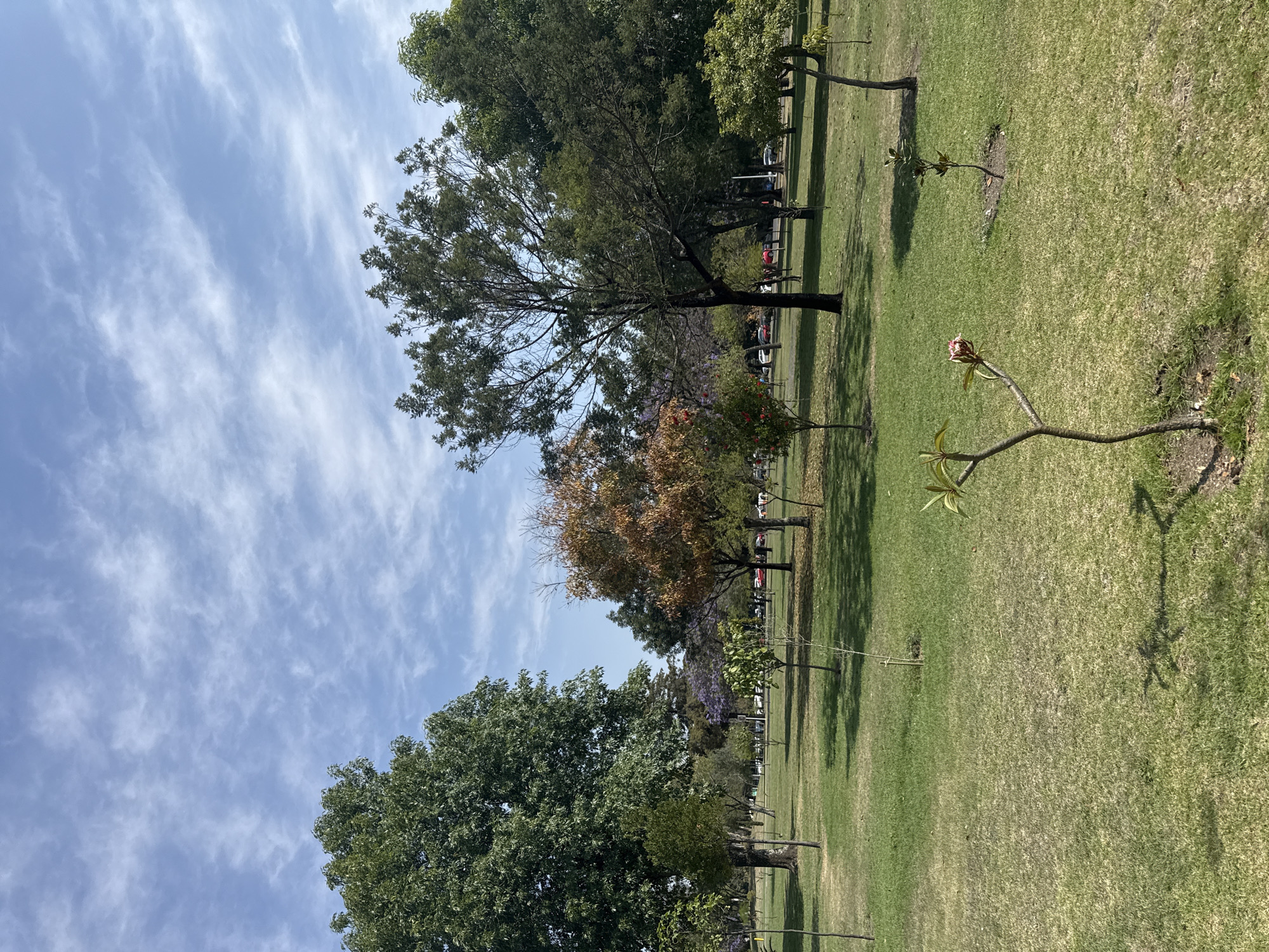 Clear skies over San Andrés Cholula park scene documented