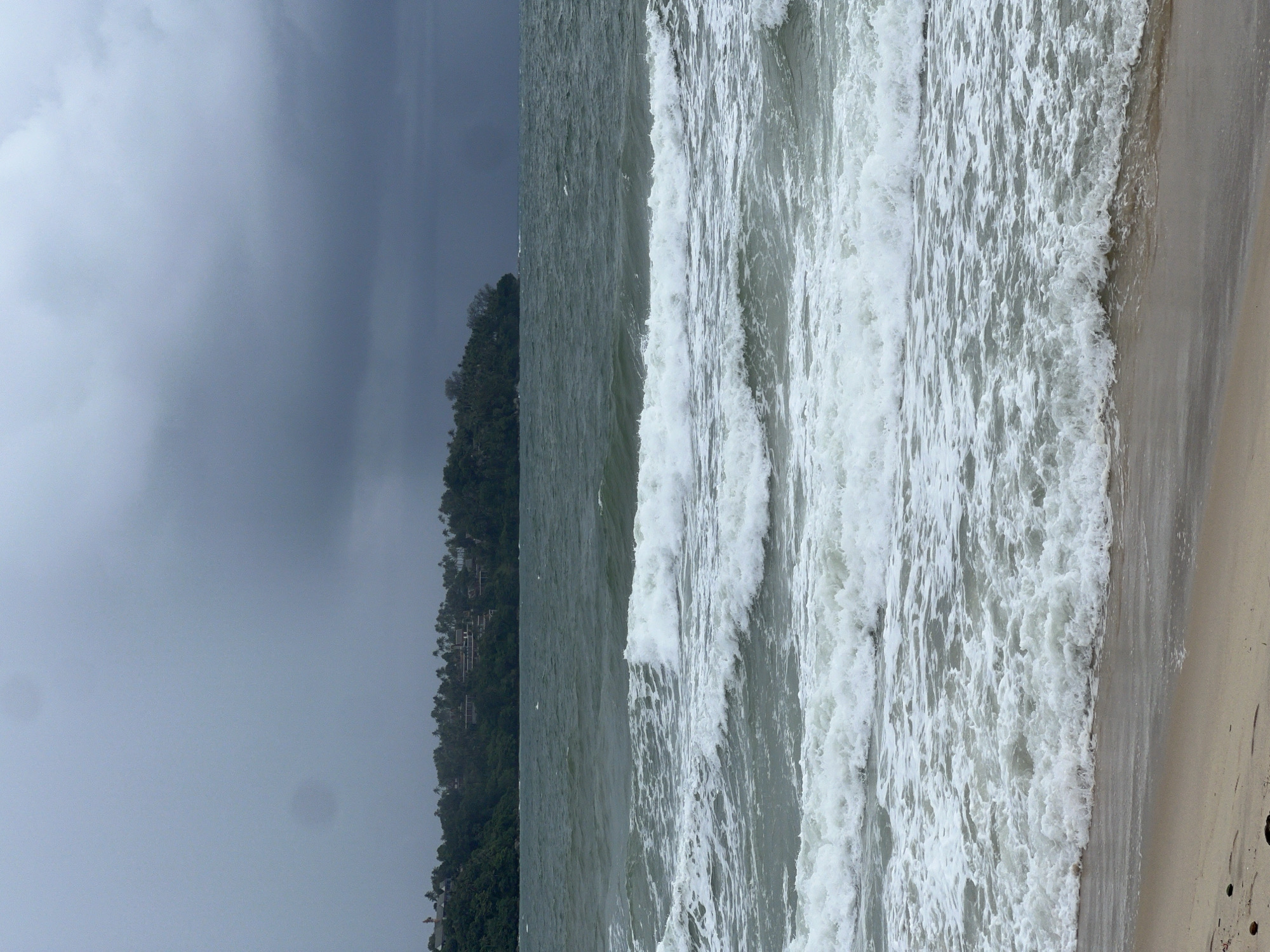 Stormy beach scene with waves, chicken, vendor truck documented