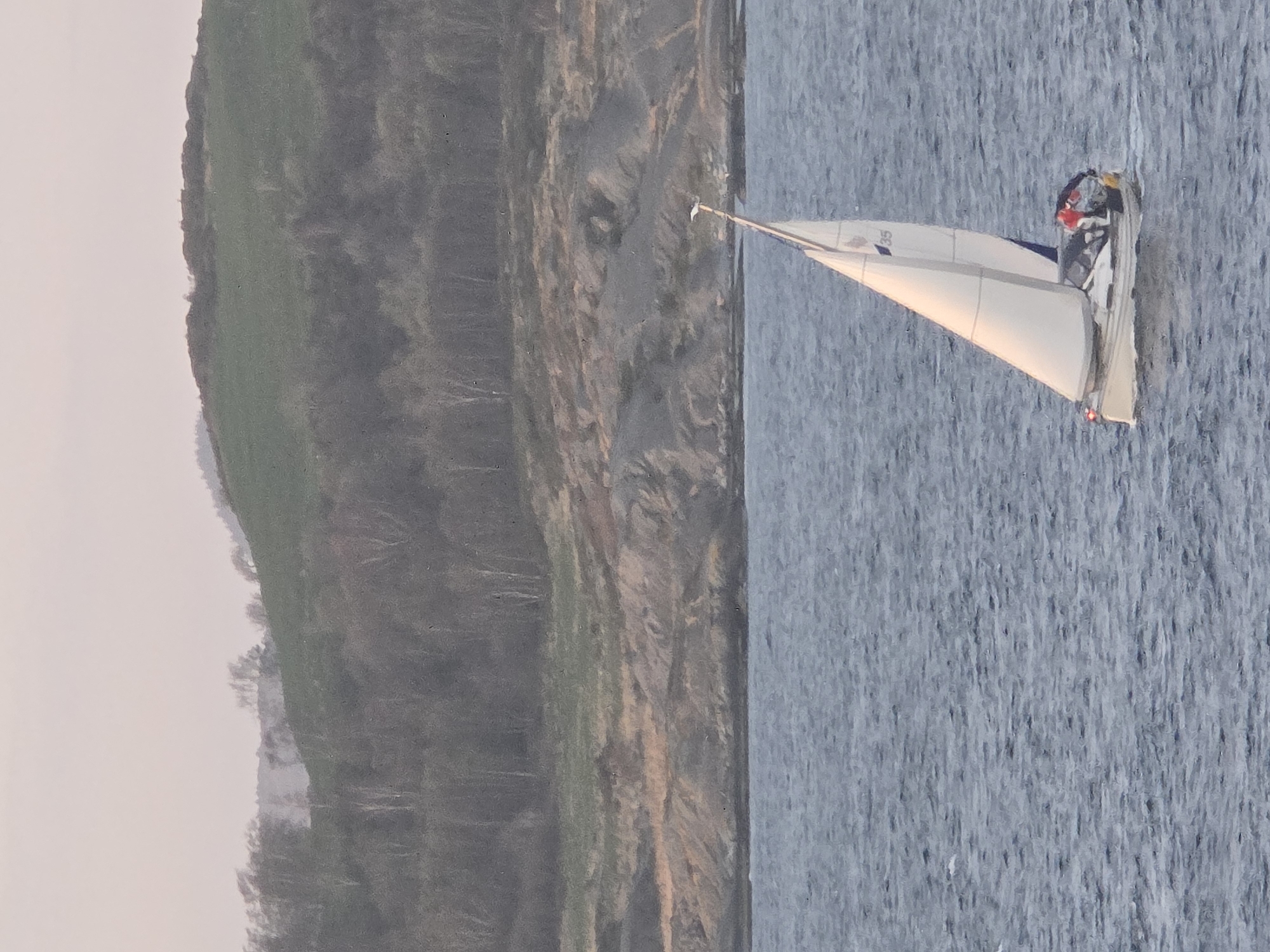 Sailboat spotted on water near shoreline
