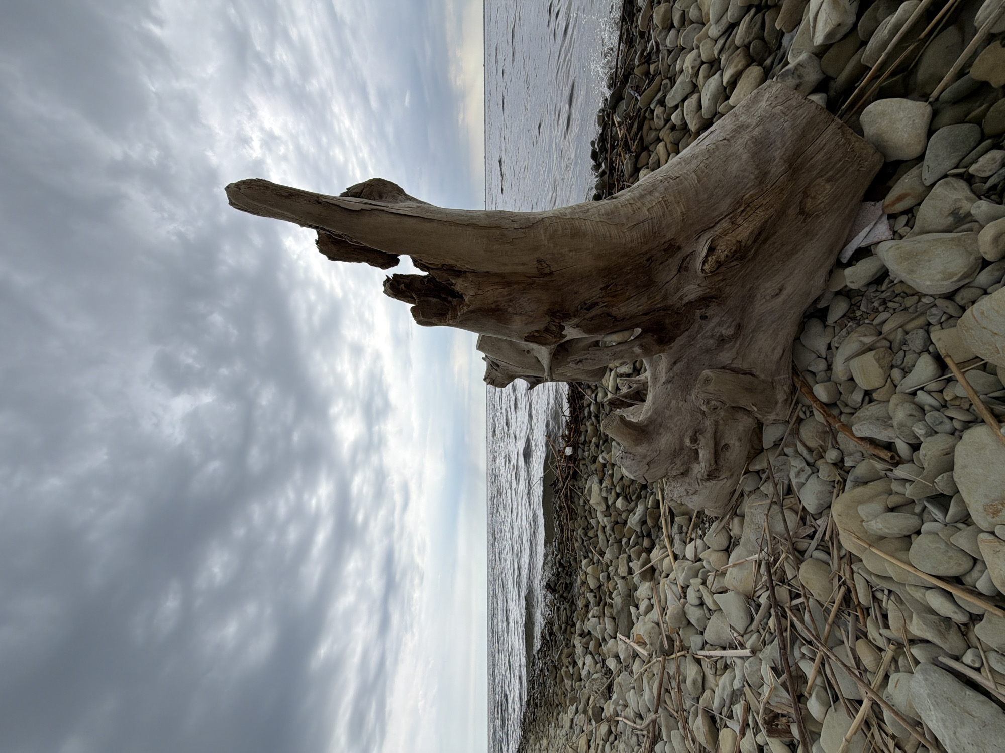 Morning shoreline visit documented near Kamyshin, Russia