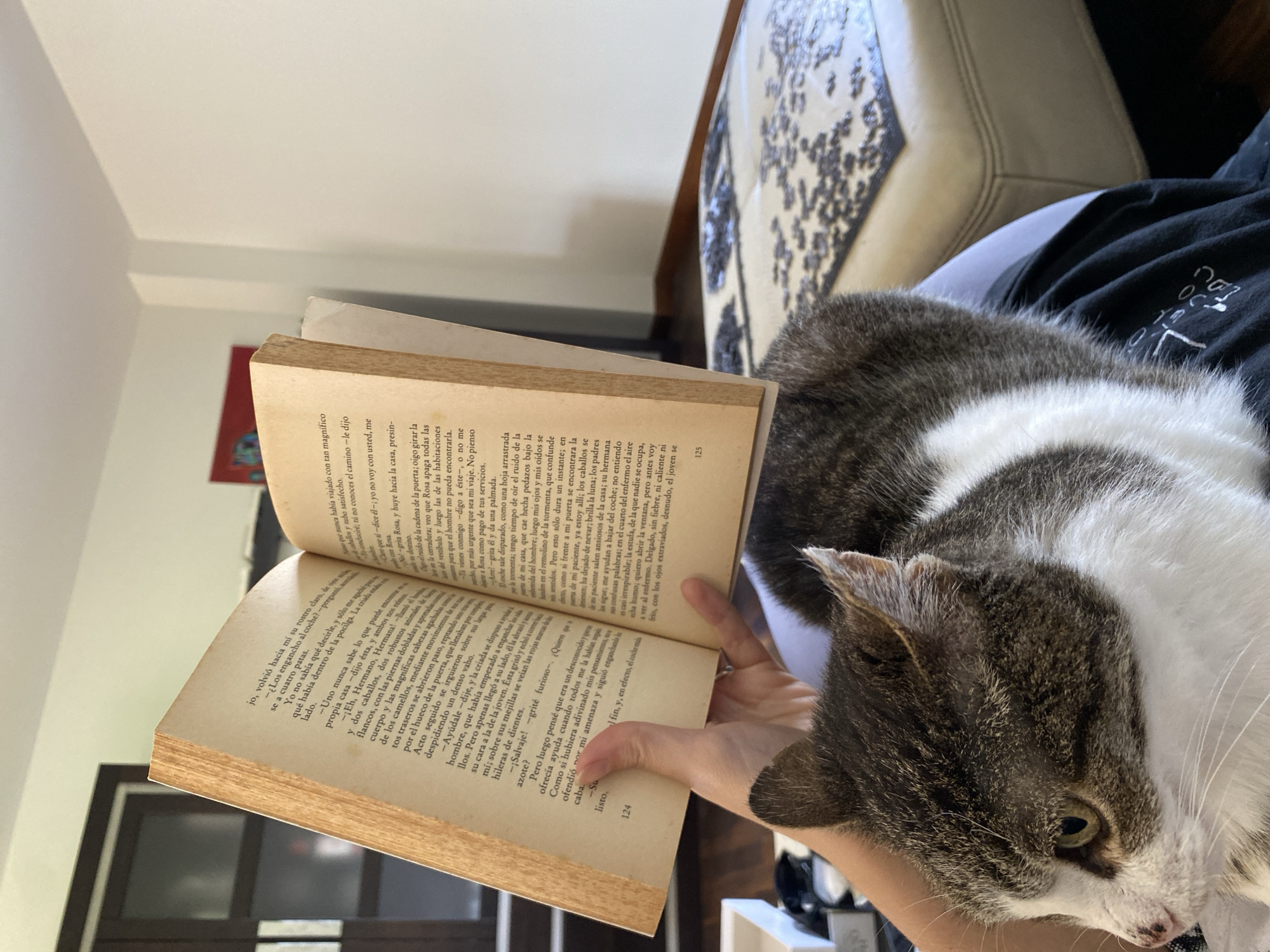 Woman enjoys quiet afternoon reading with cat in Villaviciosa