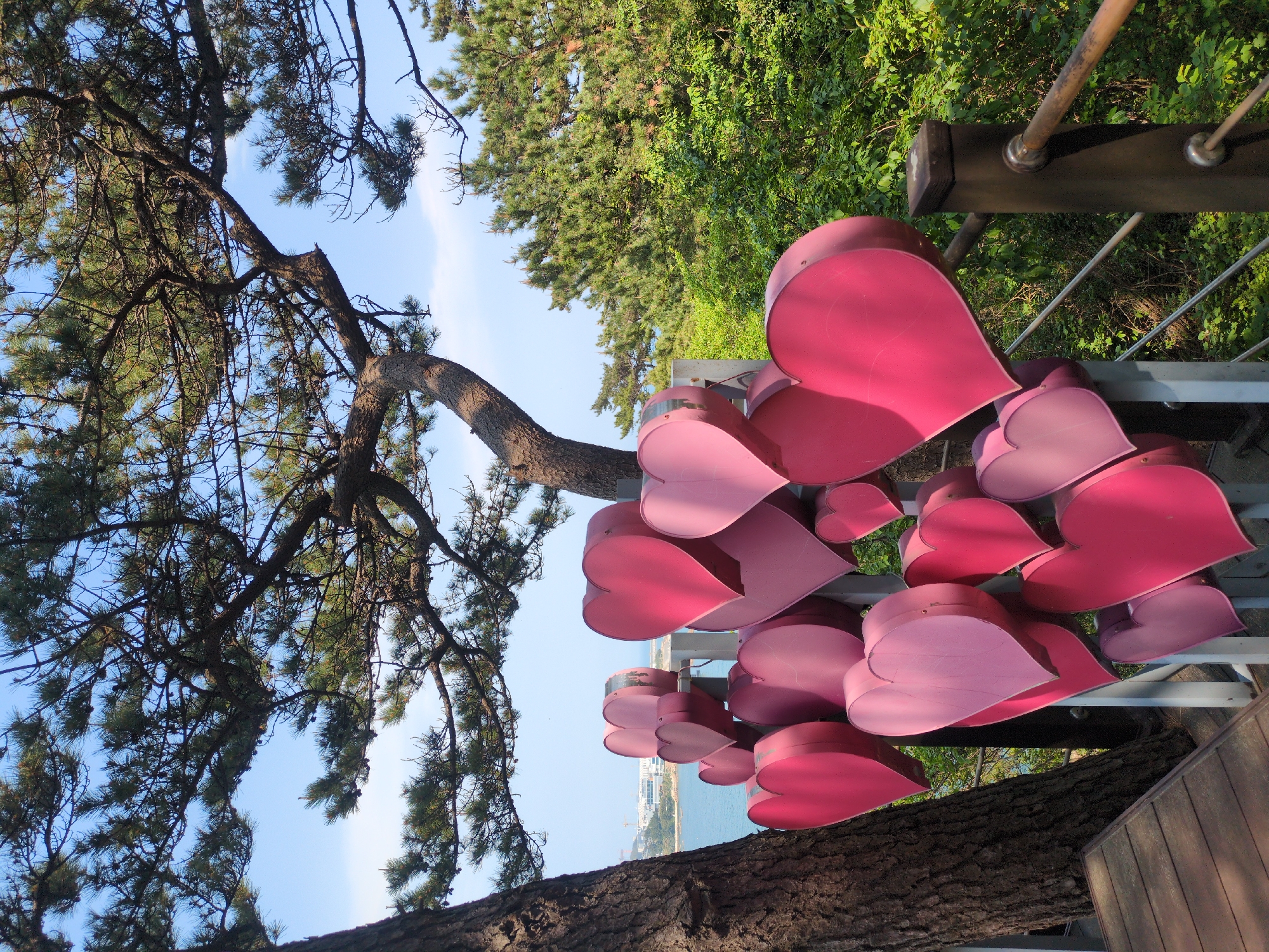 Solo observer documents diverse Ulsan coastal and cultural scenes