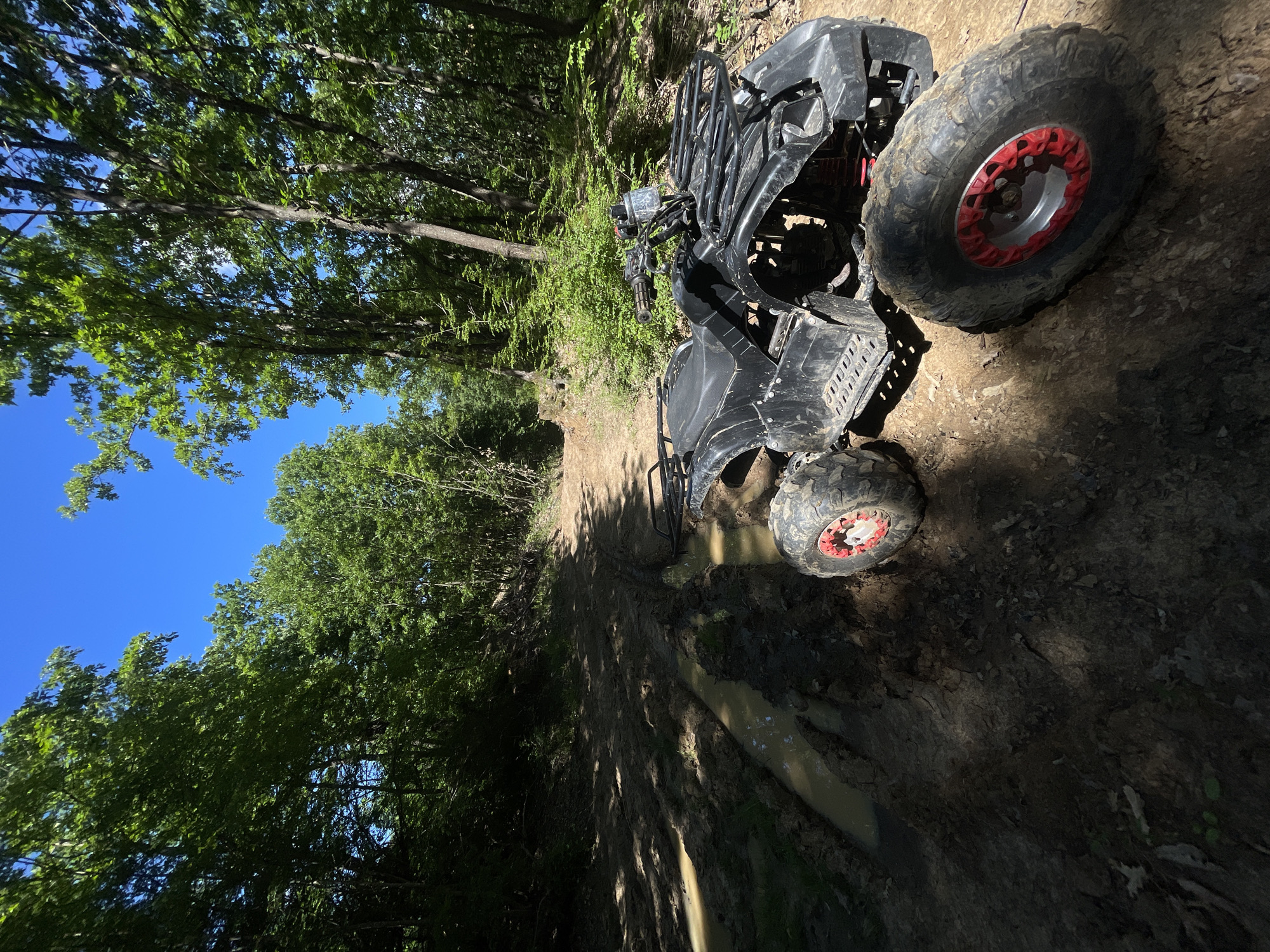 ATV trail ride through woods and cattle pastures