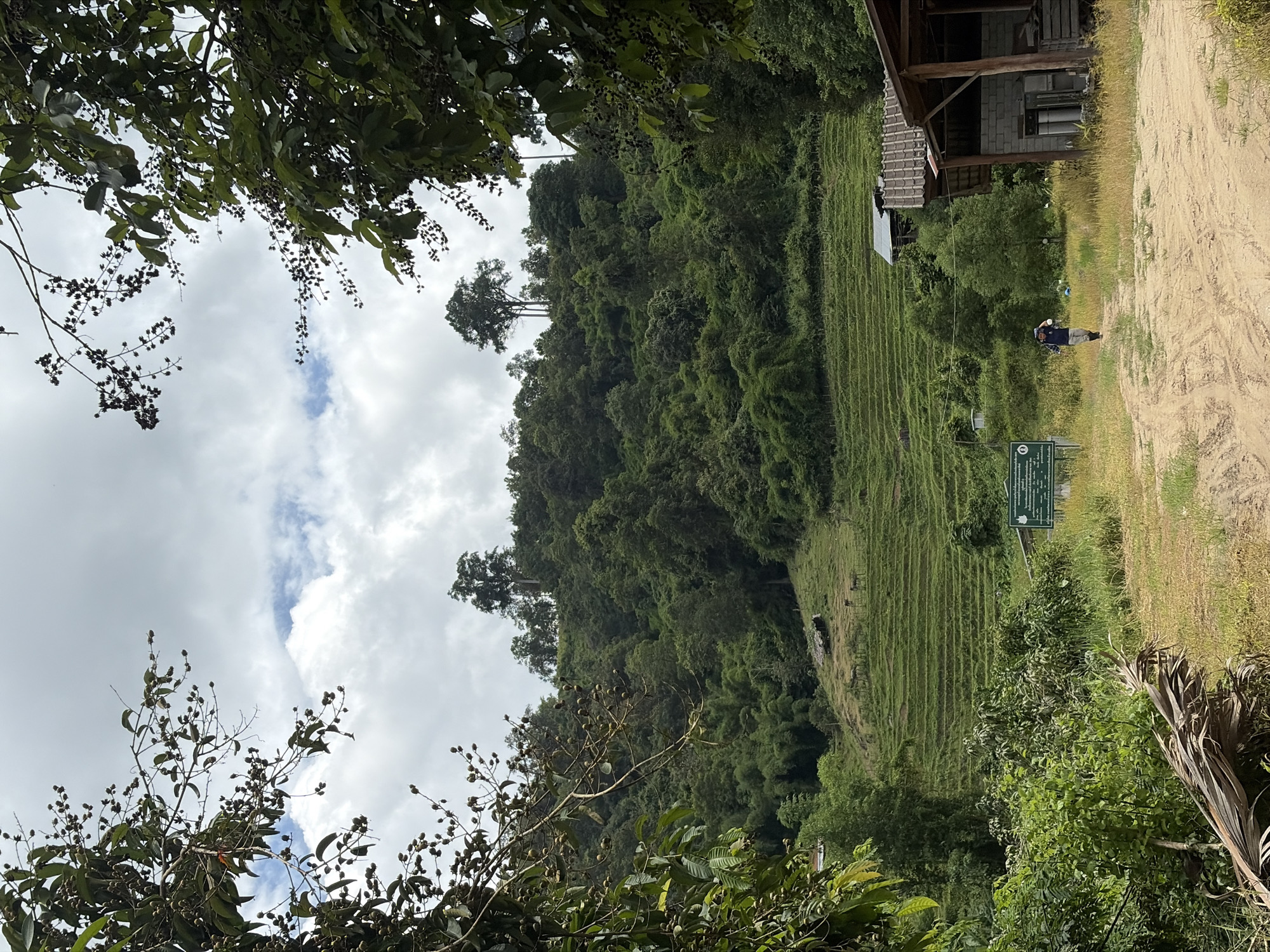 Quiet rural stop in Mae Win, Thailand — paths, pond, and a red scooter