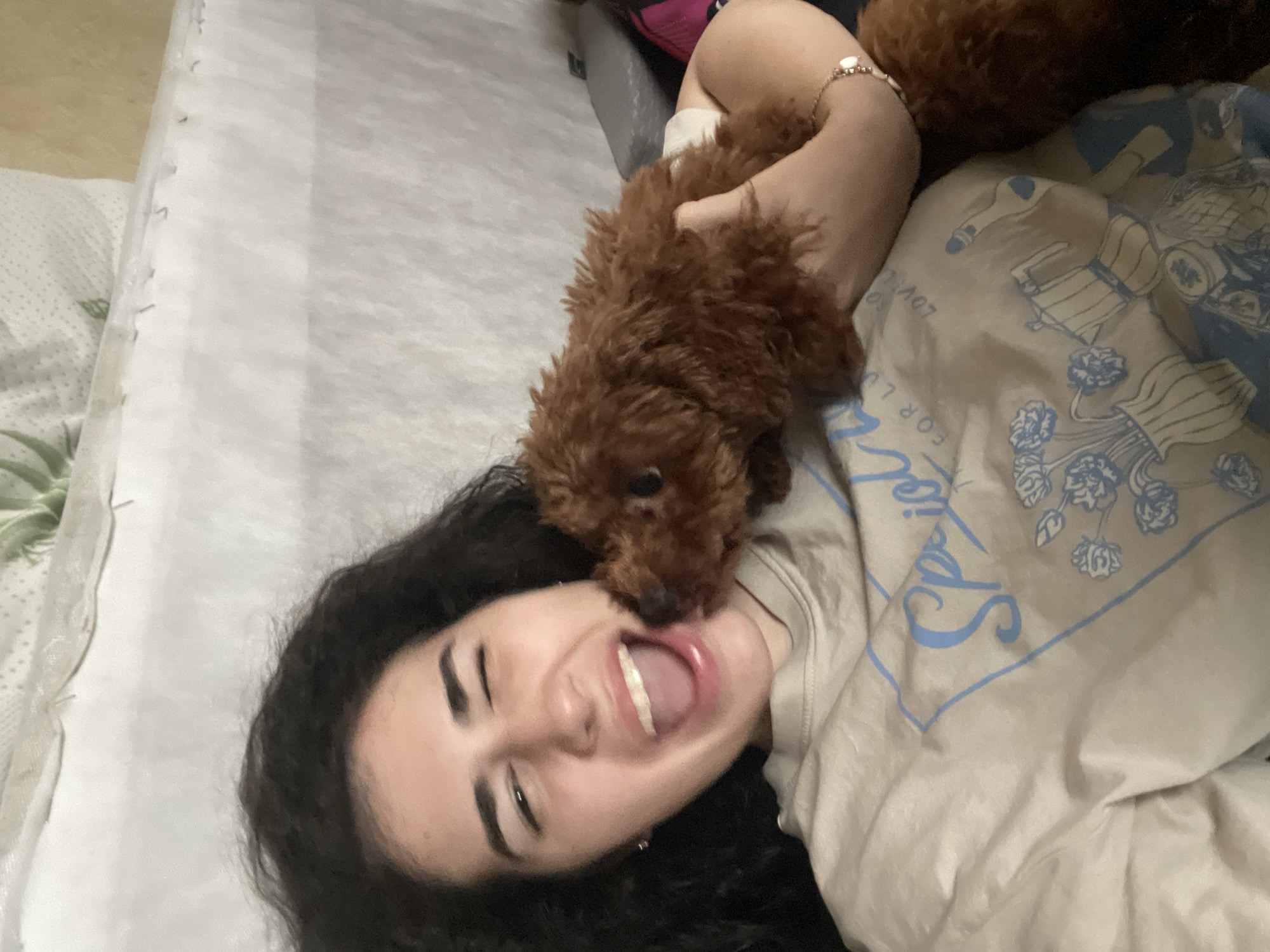 Woman and poodle share quiet afternoon moments in Sofia home