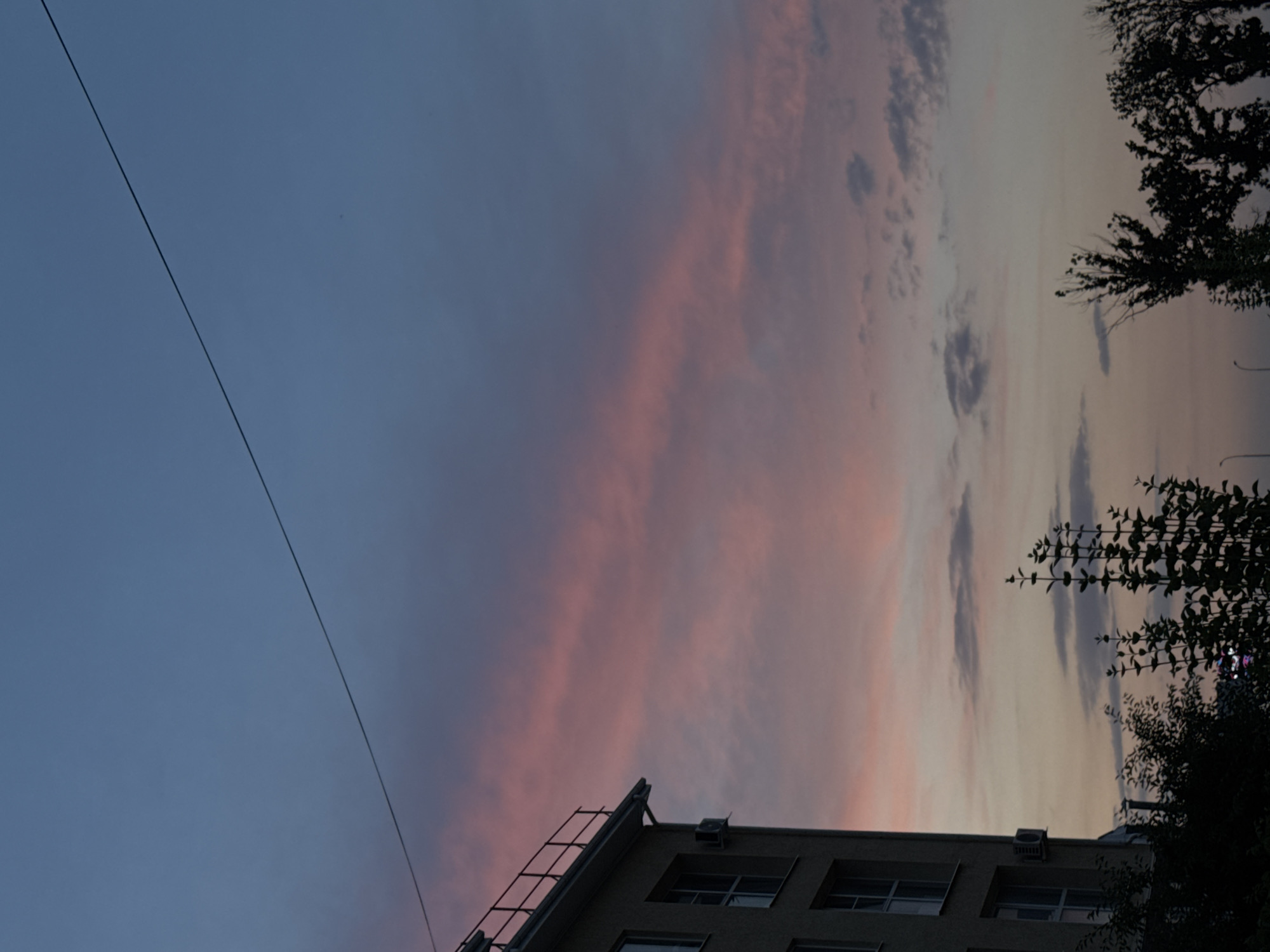 Evening out: dusk skies, daisies, dirt bikes, and city streets