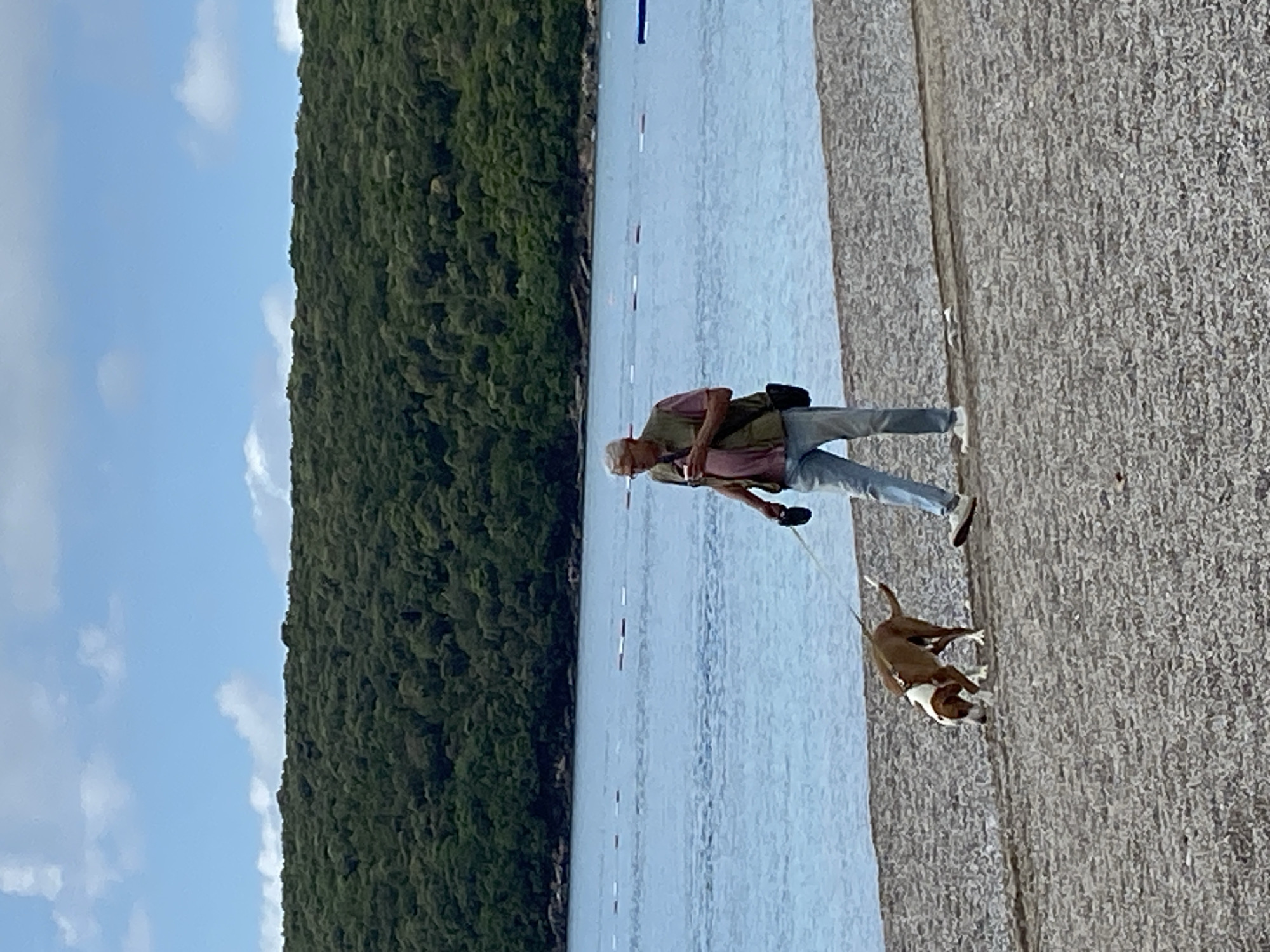 Morning recreational scenes captured along Prijevor Montenegro waterfront