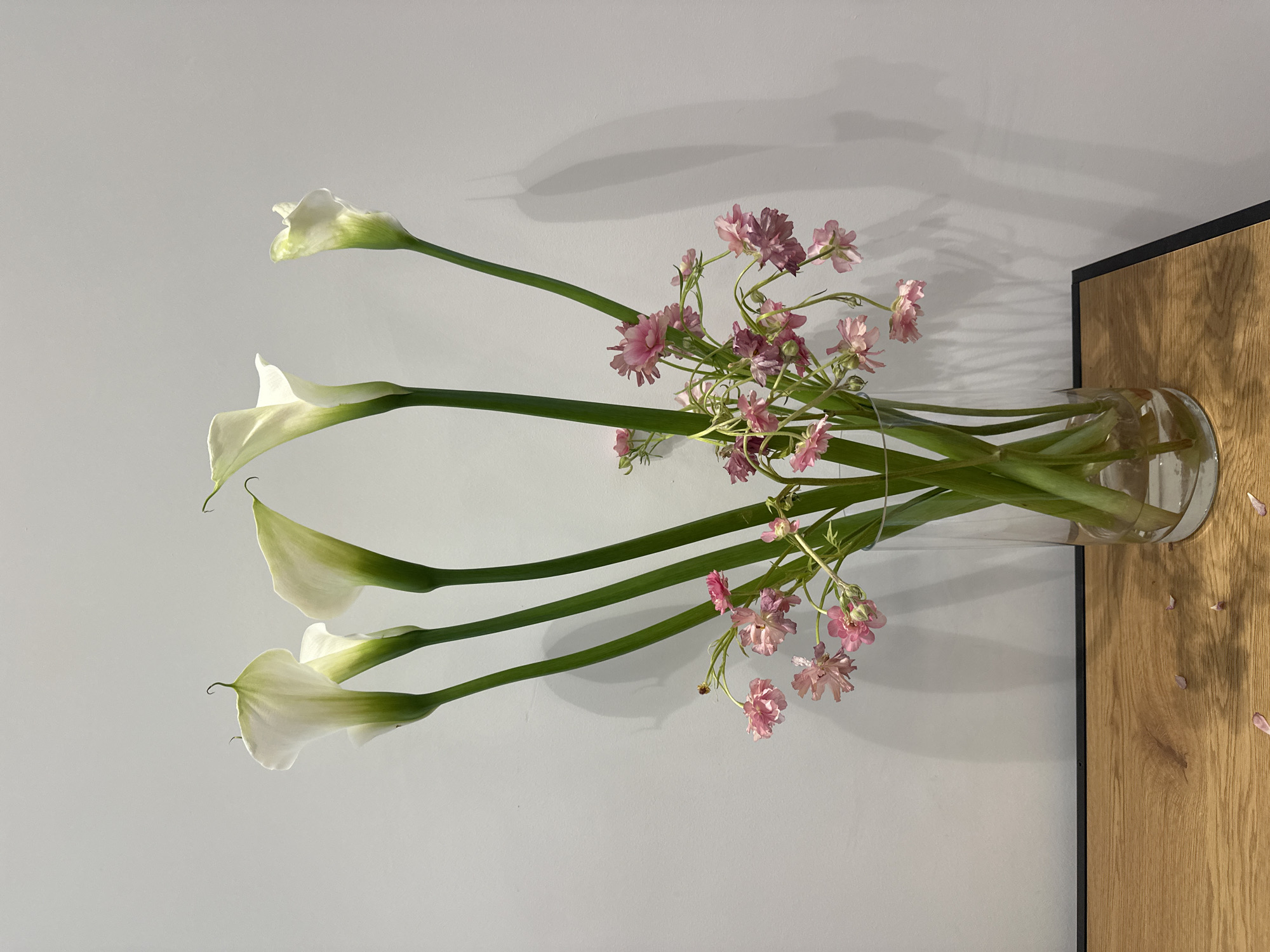 Morning scenes captured in Milan: flowers and urban wildlife