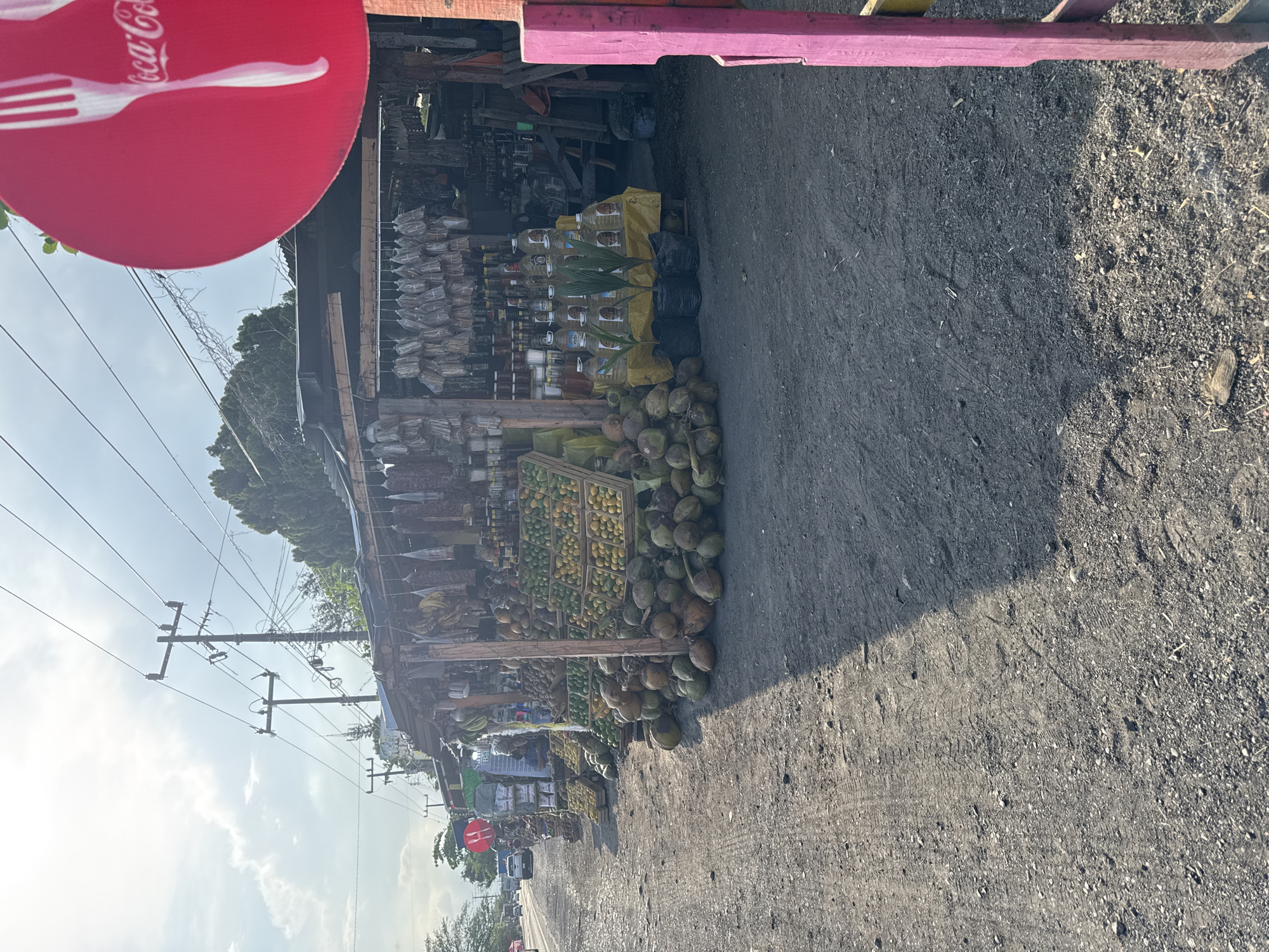 Roadside fruit stand documented in Puente Nacional, Mexico