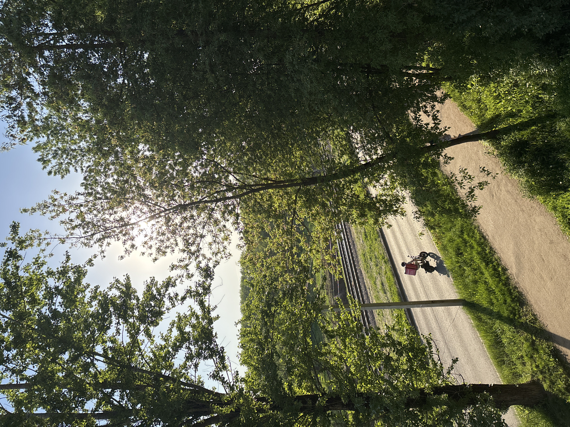 Rusanovo resident captures afternoon park visit, drawings, selfie