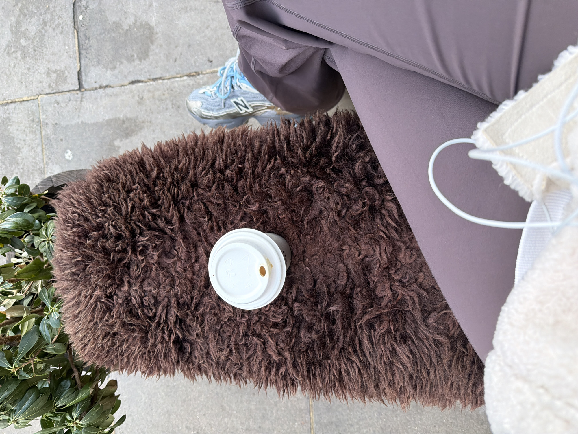 Coffee cup left on furry street bench in London