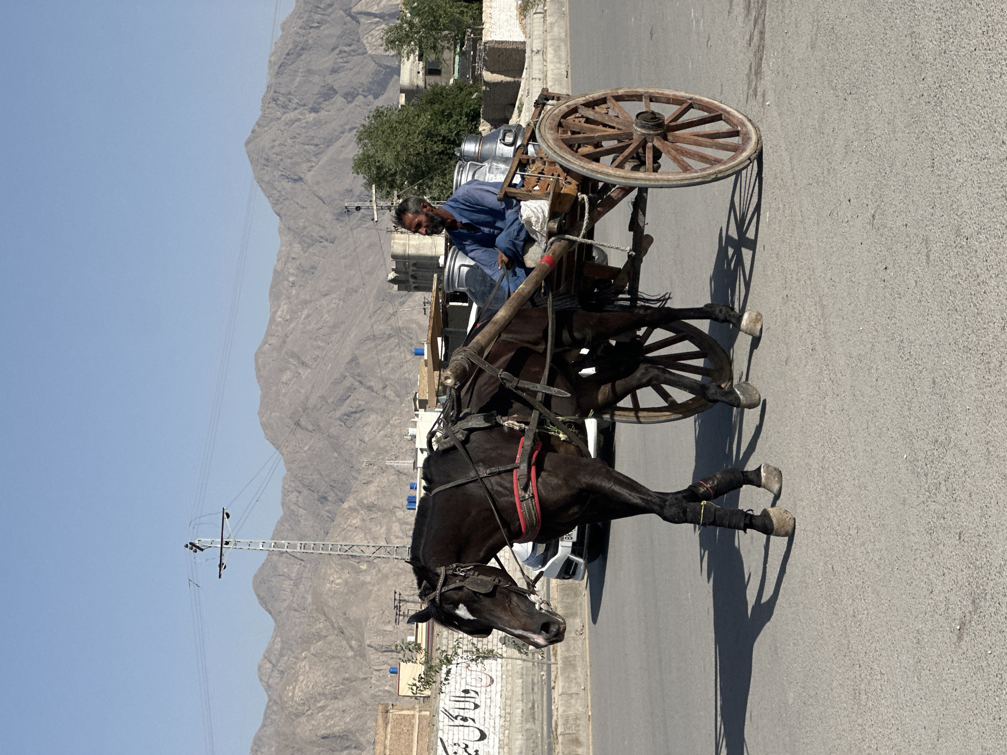 Horse-drawn cart travels asphalt road in Quetta, Pakistan
