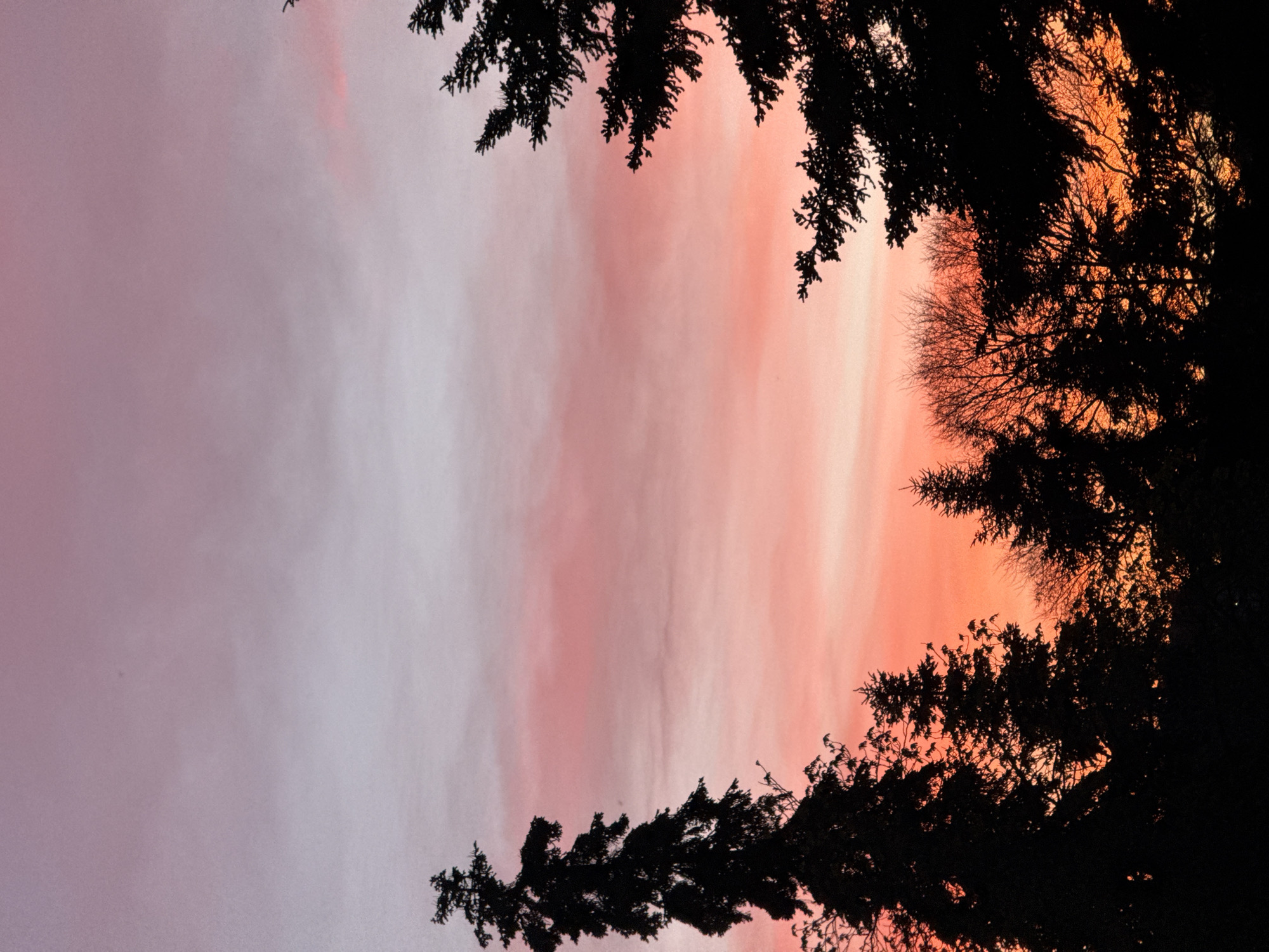 Witness documents colorful twilight progression across Dobrich, Bulgaria parks