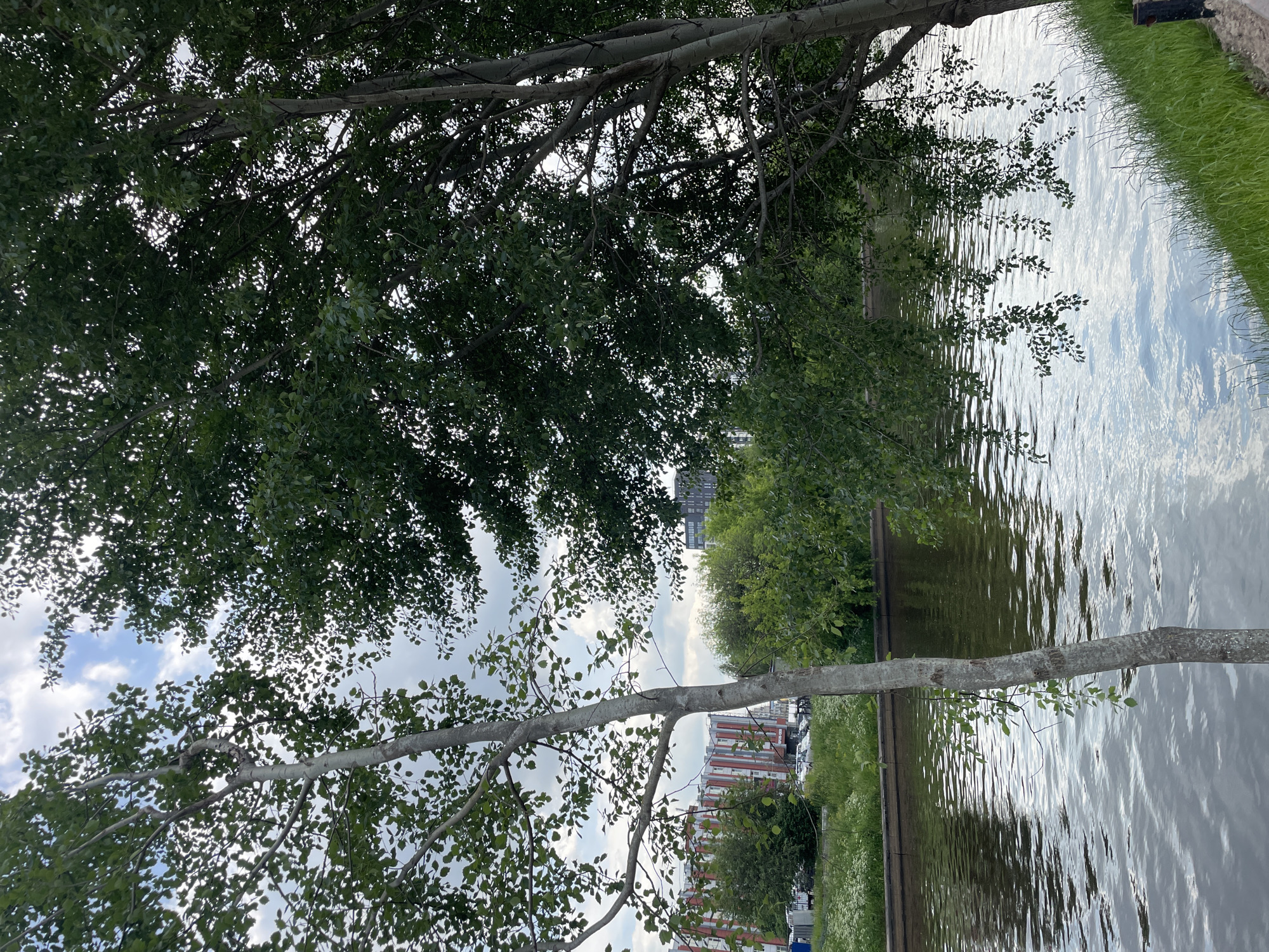 Spring morning scenes captured along Saint Petersburg waterways