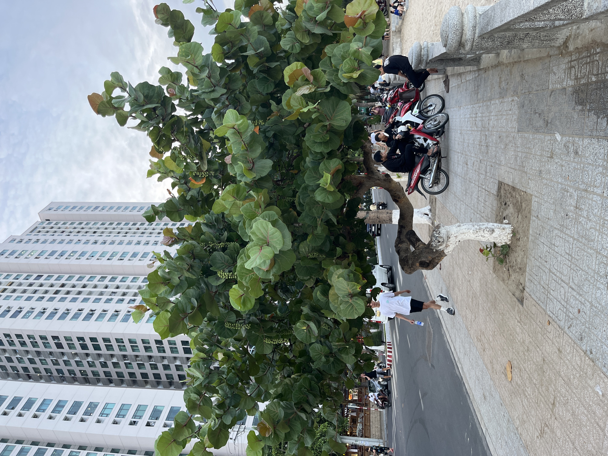 Morning beach soccer and street life in Nha Trang