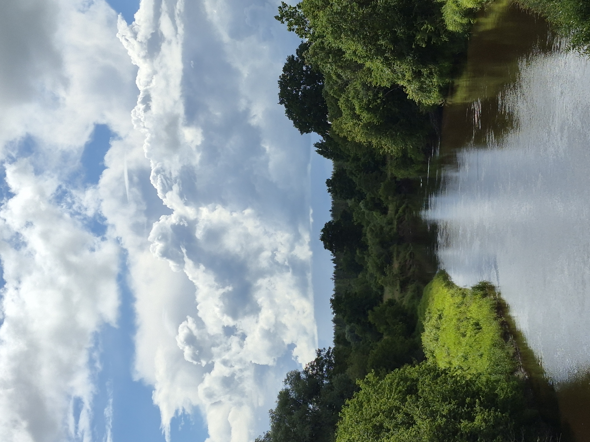 Along the Võhandu River: forests, ruins, and quiet details