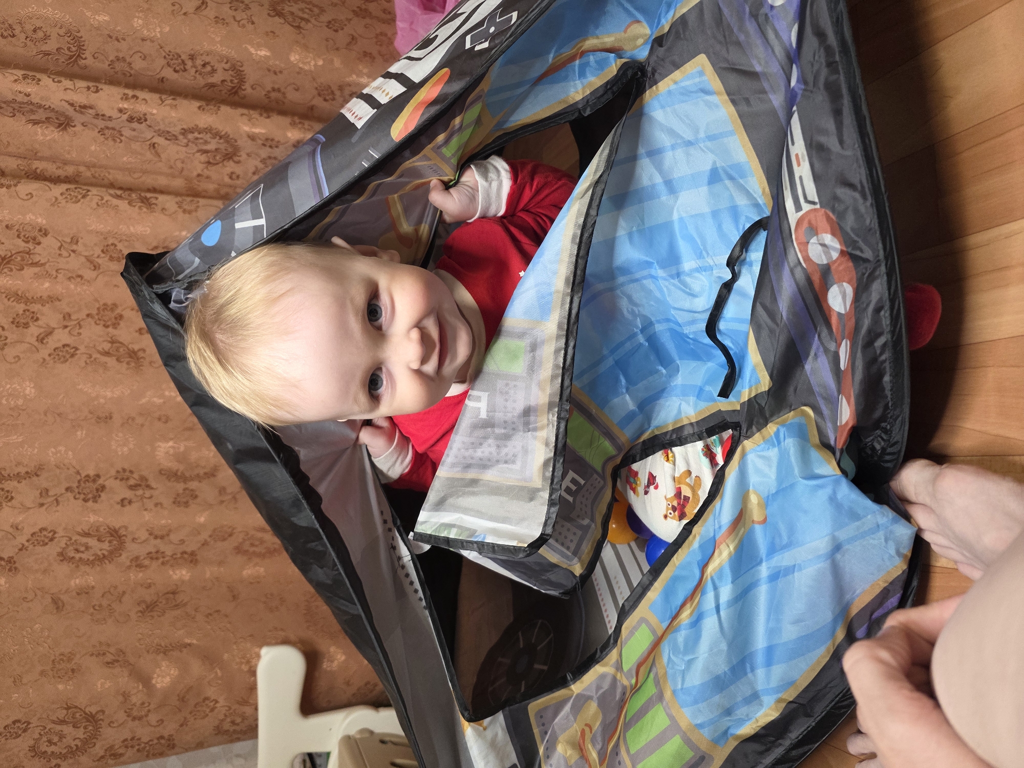 Everyday family moments captured in Chaikovsky home during afternoon