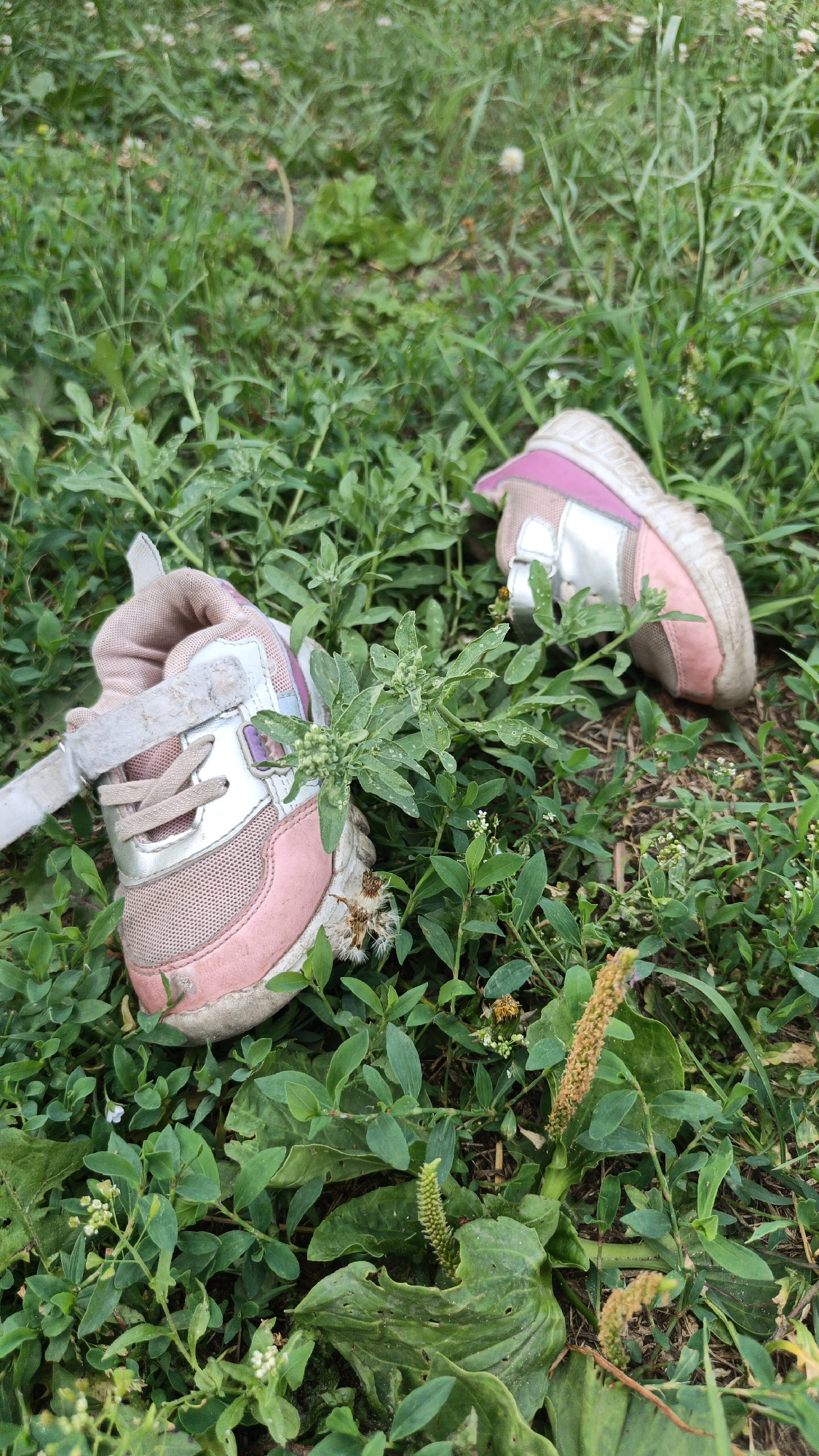 Scattered belongings and garden flowers at an outdoor stop