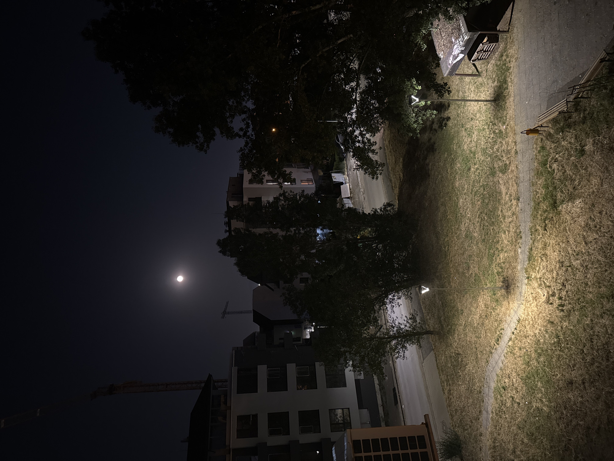 Full moon over Sofia construction site, plus a resting Cane Corso indoors