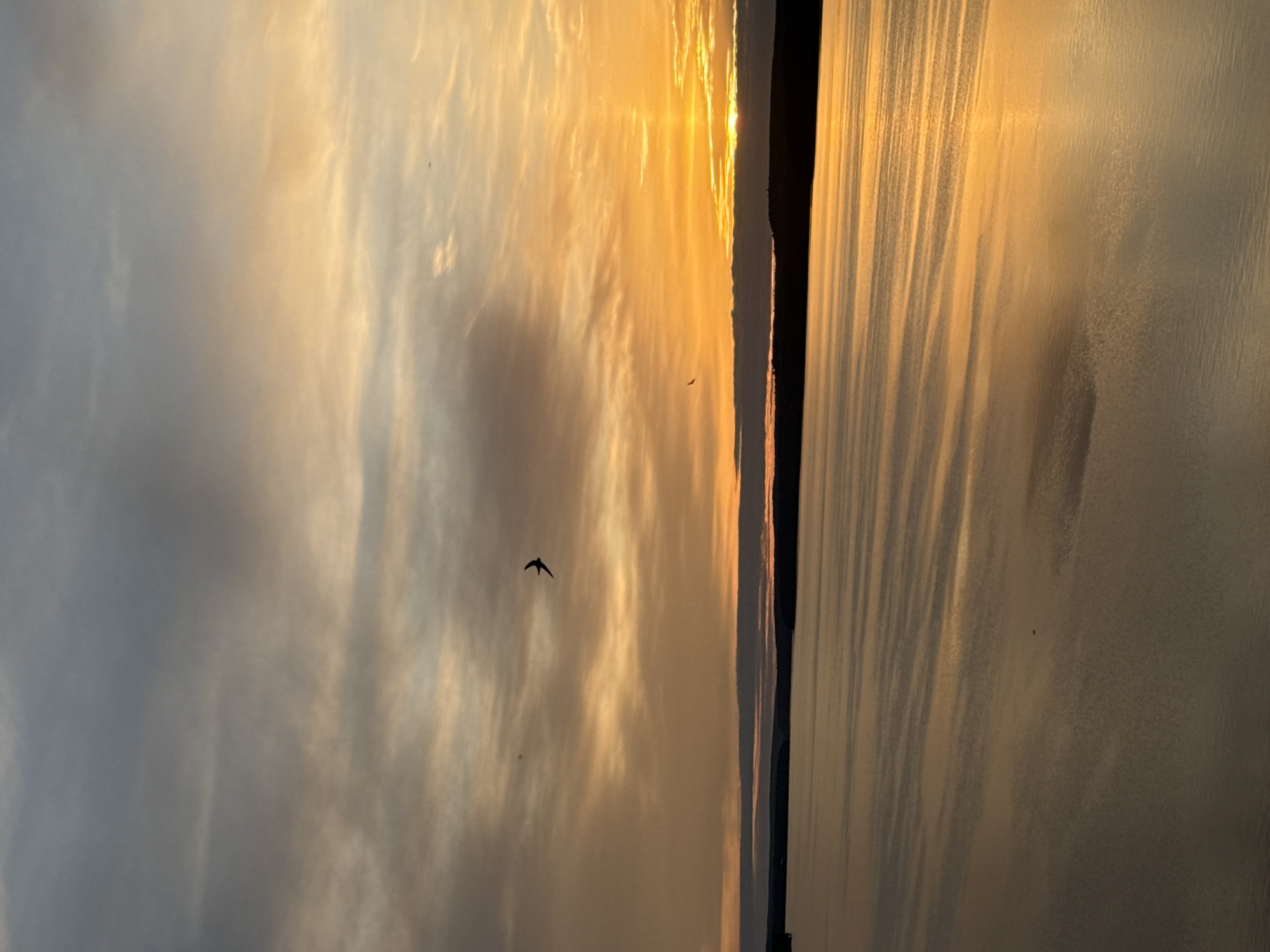 Sunset beer drinking session documented at Votkinsk Reservoir, Russia
