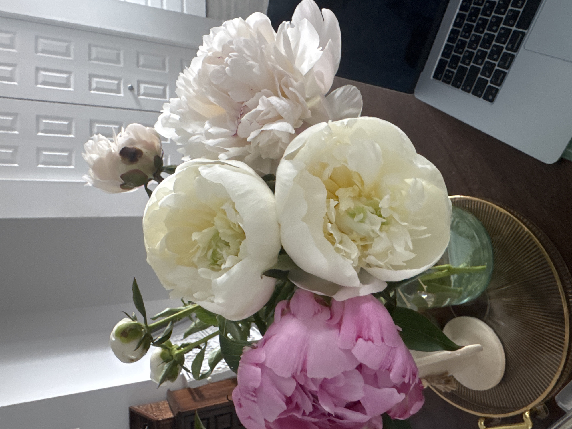 Quiet afternoon with peonies and coffee captured in Gatineau