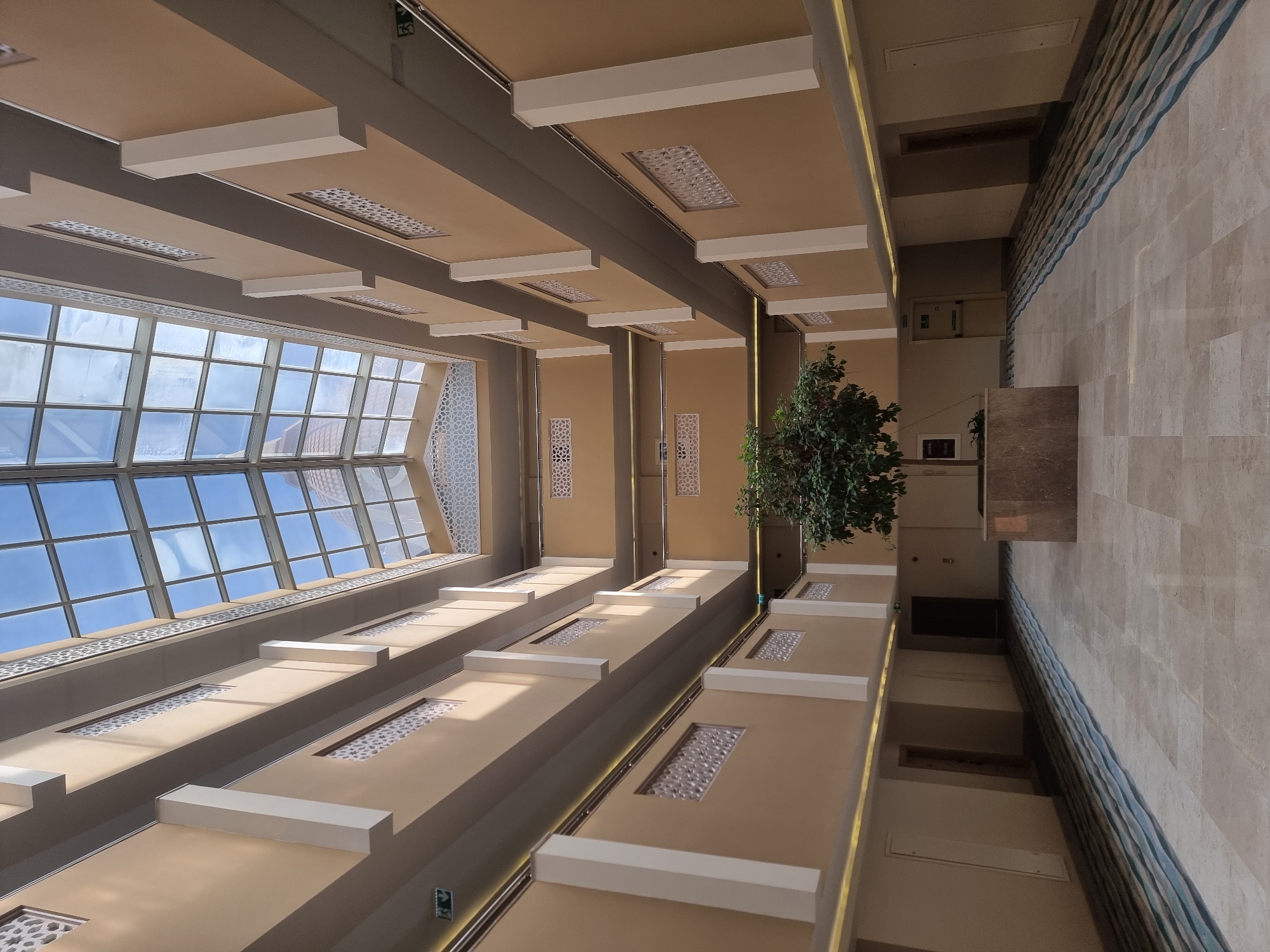 Inside a glass-roofed atrium built around a central tree