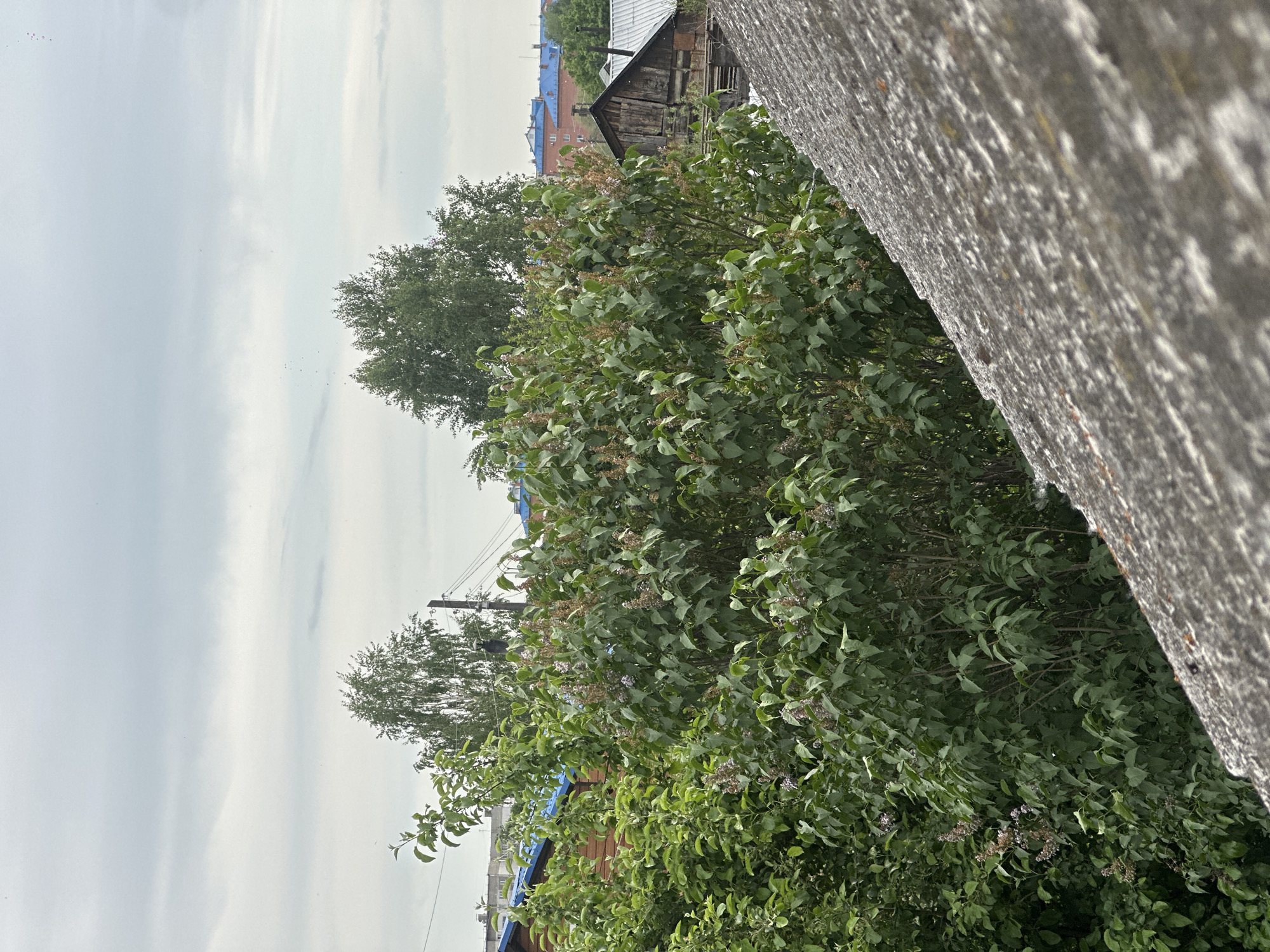 Ordinary moments documented in Biysk residential area over morning hours