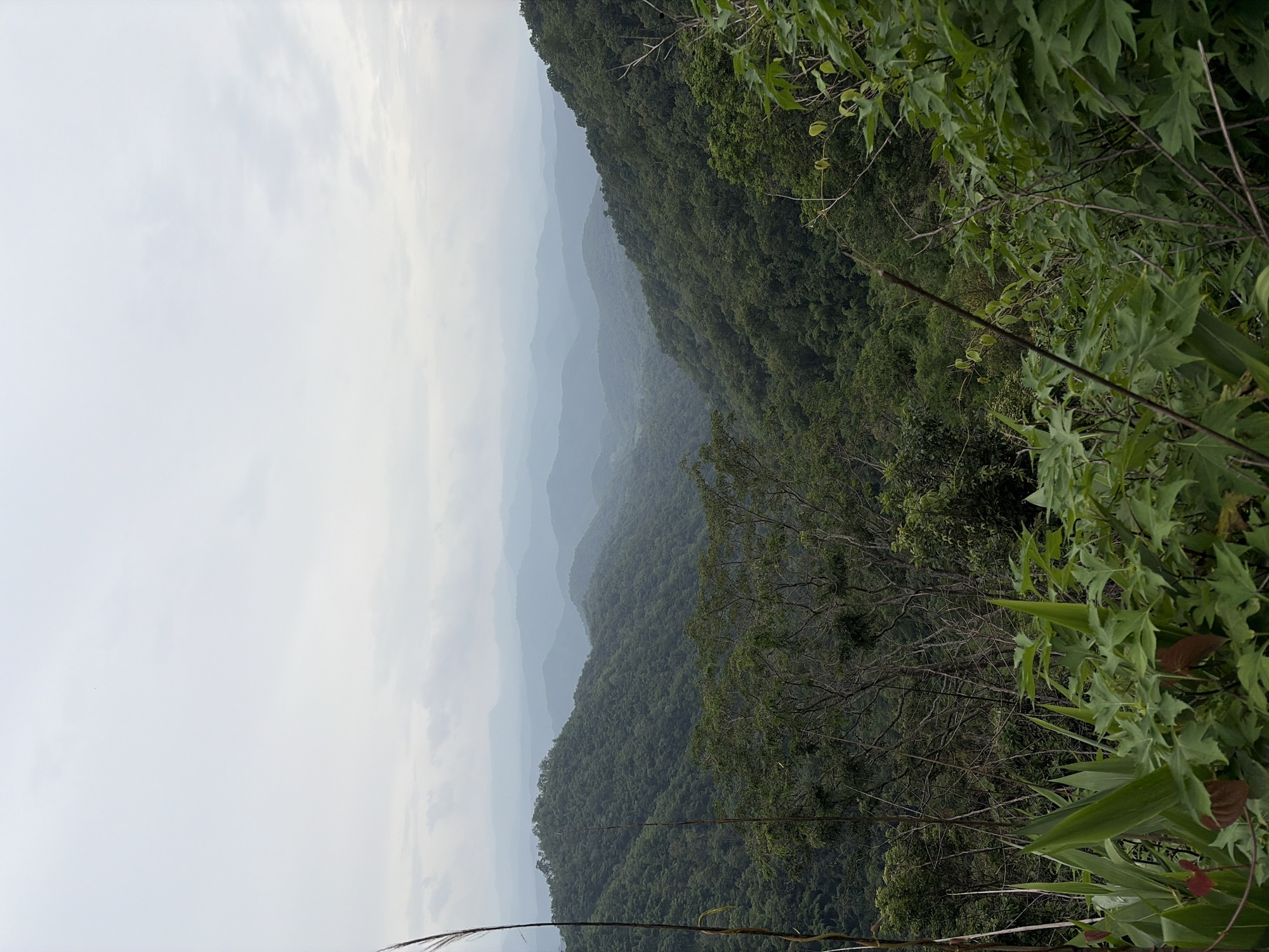 Misty mountain viewpoint stop at Samoeng Forest, northern Thailand
