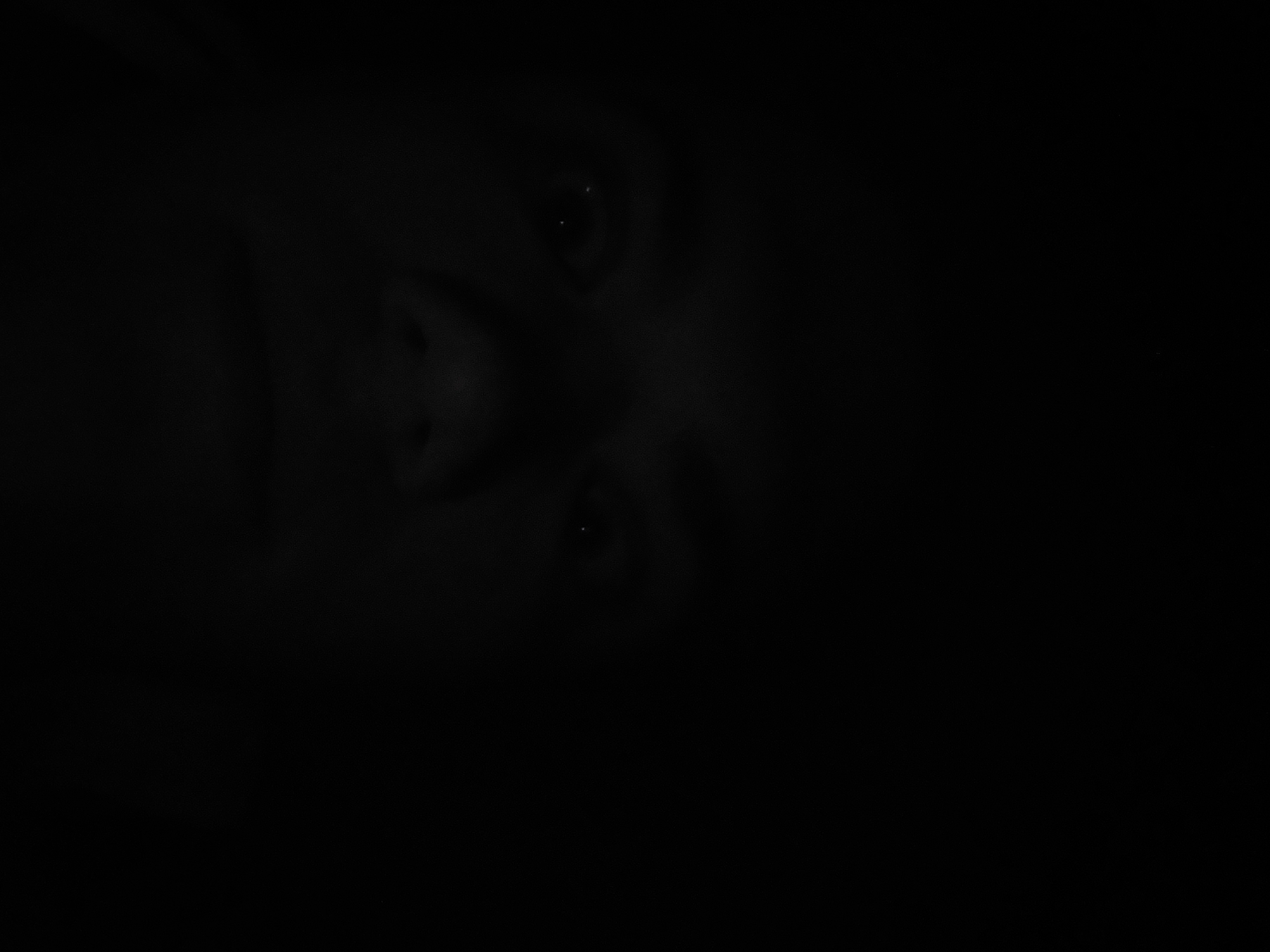 Person observed in dim lighting in Tashkent early morning