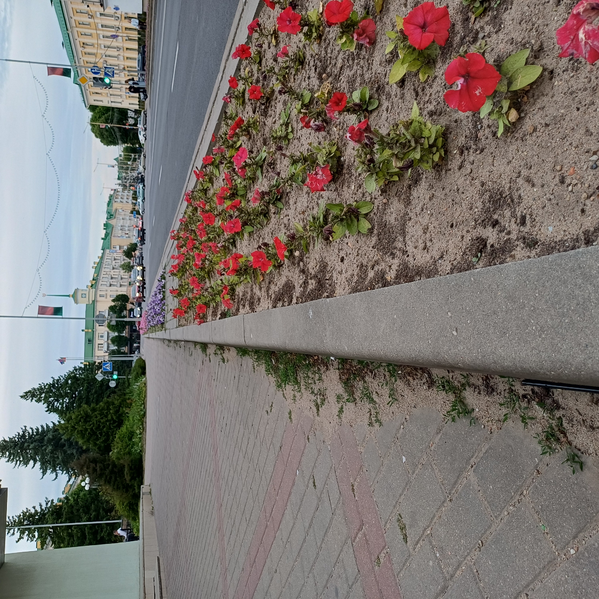 Afternoon street life documented across Baranavichy, Belarus