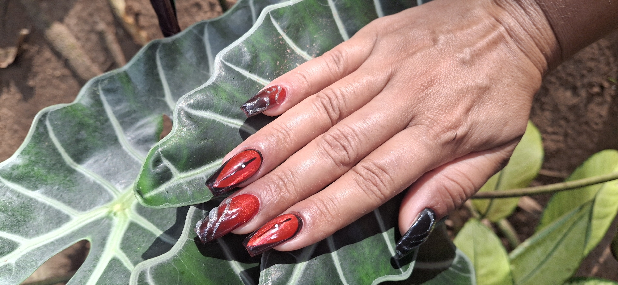 Nail art meets botanical macro photography in a Venezuelan garden