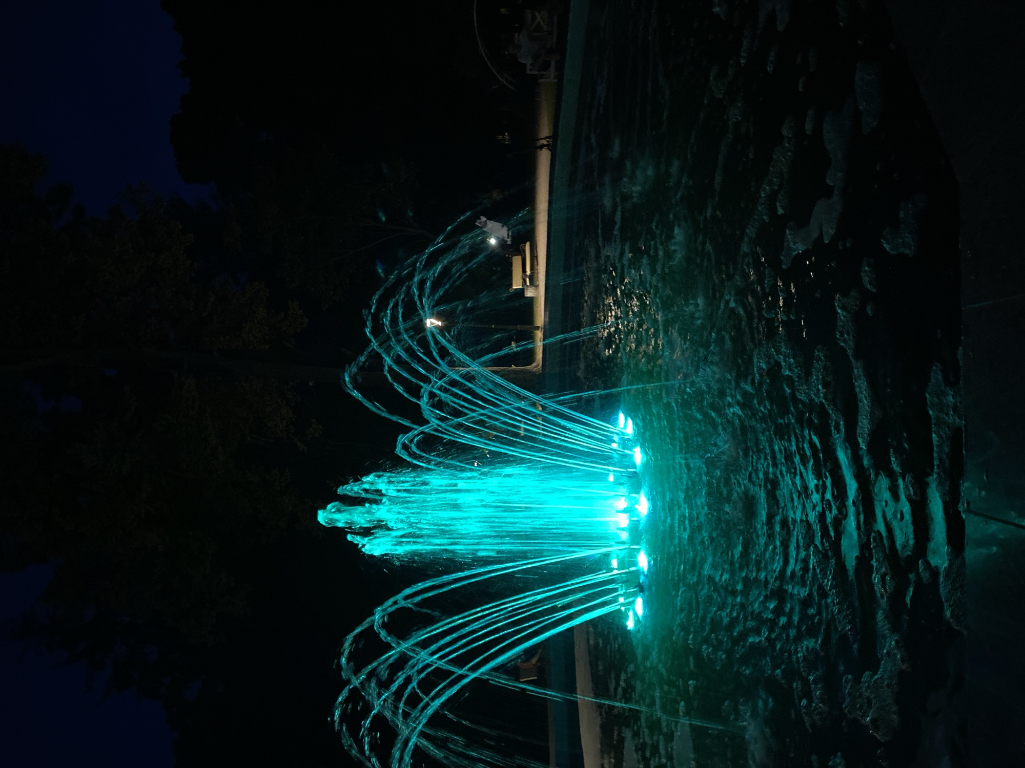 Poltava city center at night: fountains, cafes, and lit streets