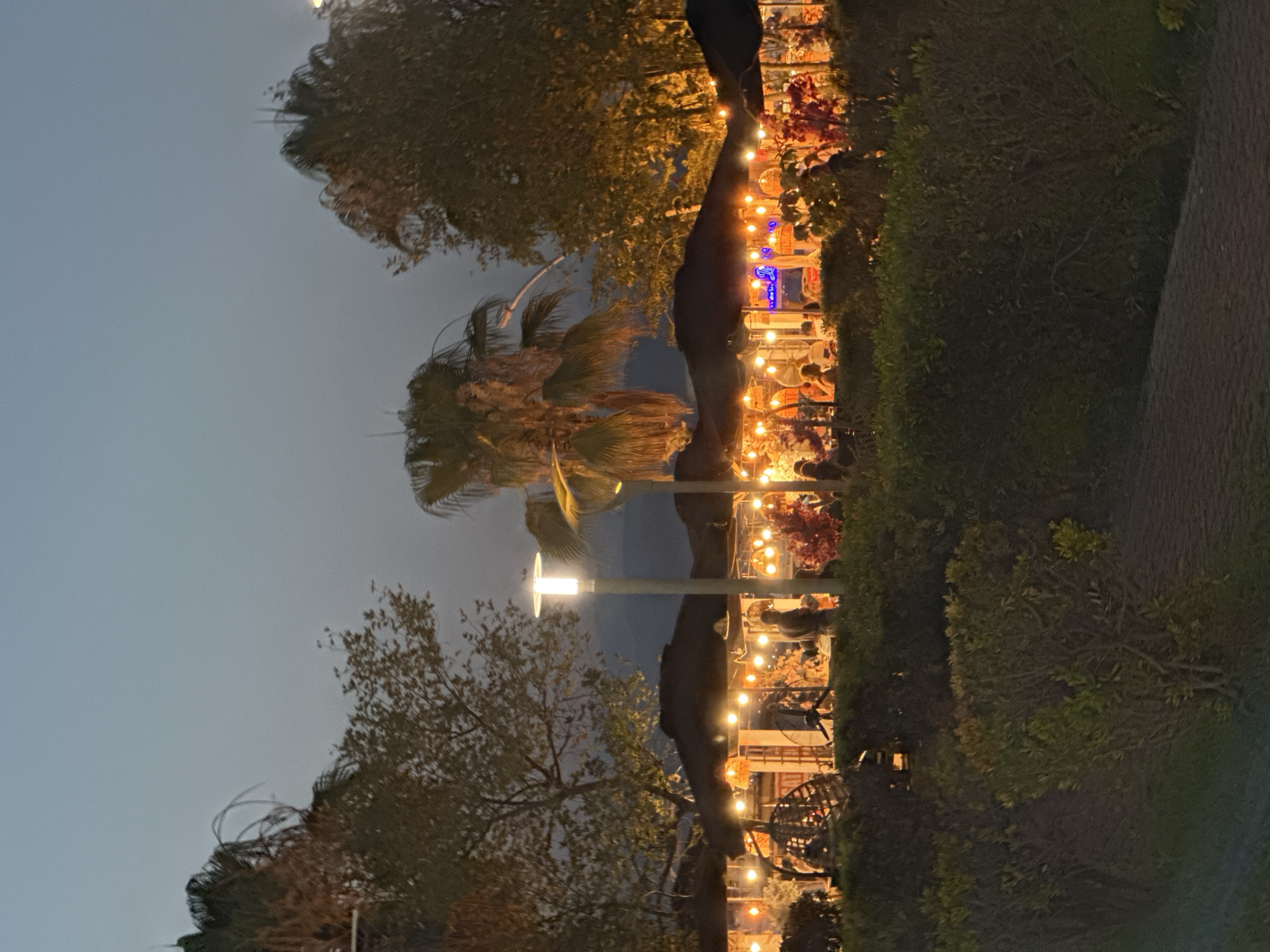 Fethiye at dusk: waterfront flags, fairy lights, and a street cat