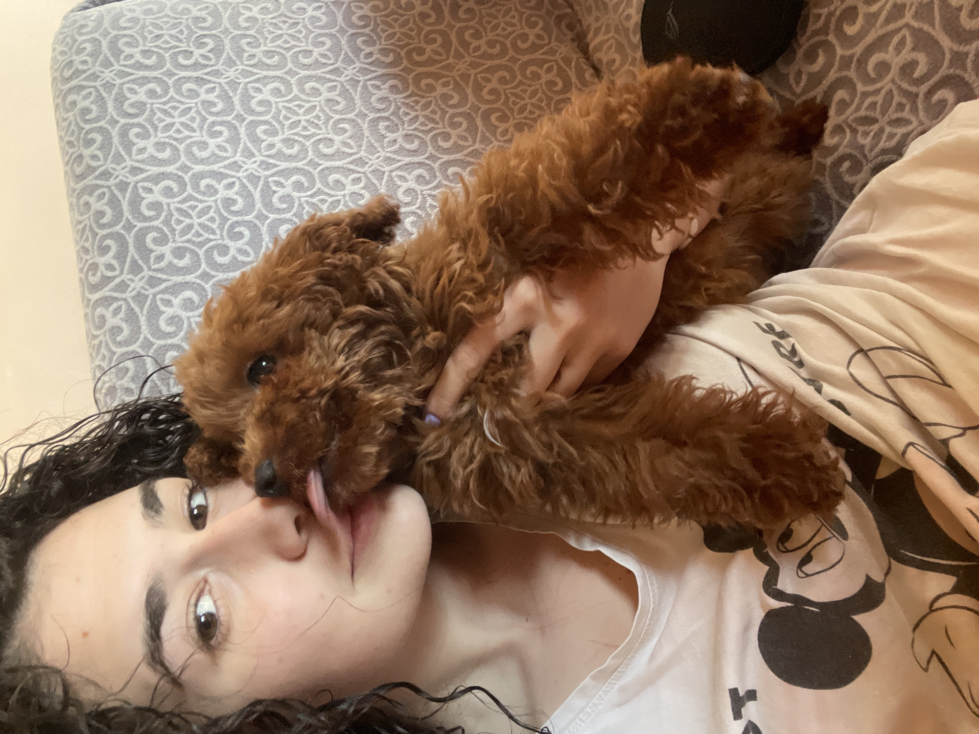 Woman enjoys quiet afternoon with poodle in Sofia home