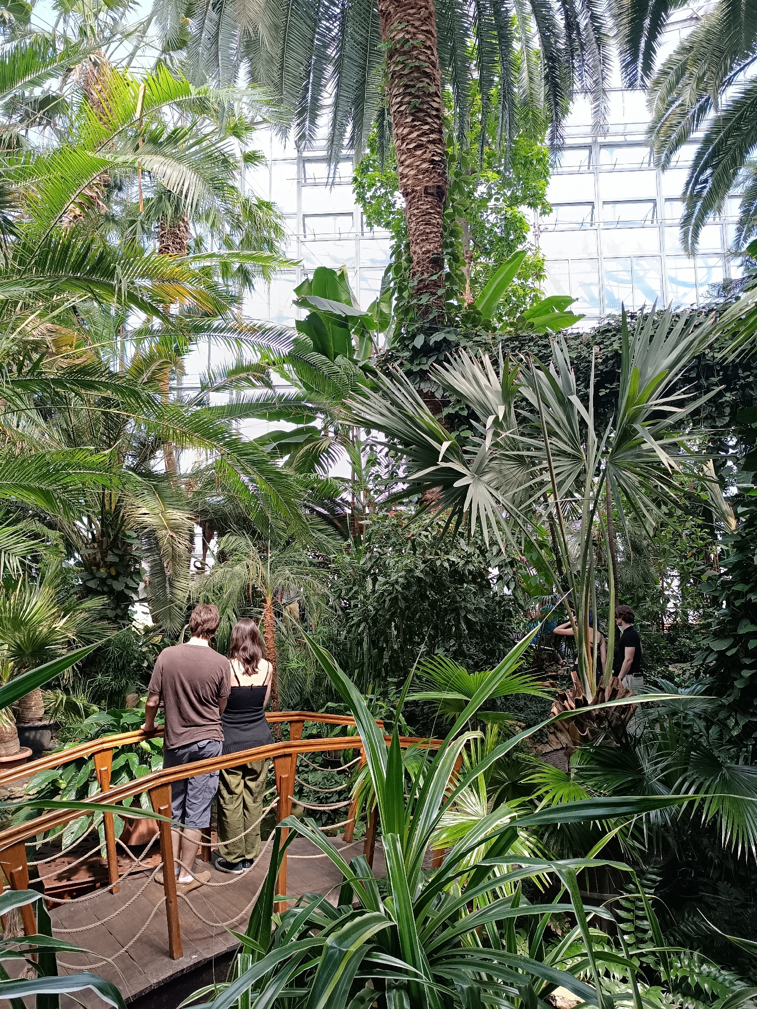 Inside Gliwice's Palm House: plants, insects, and animals up close