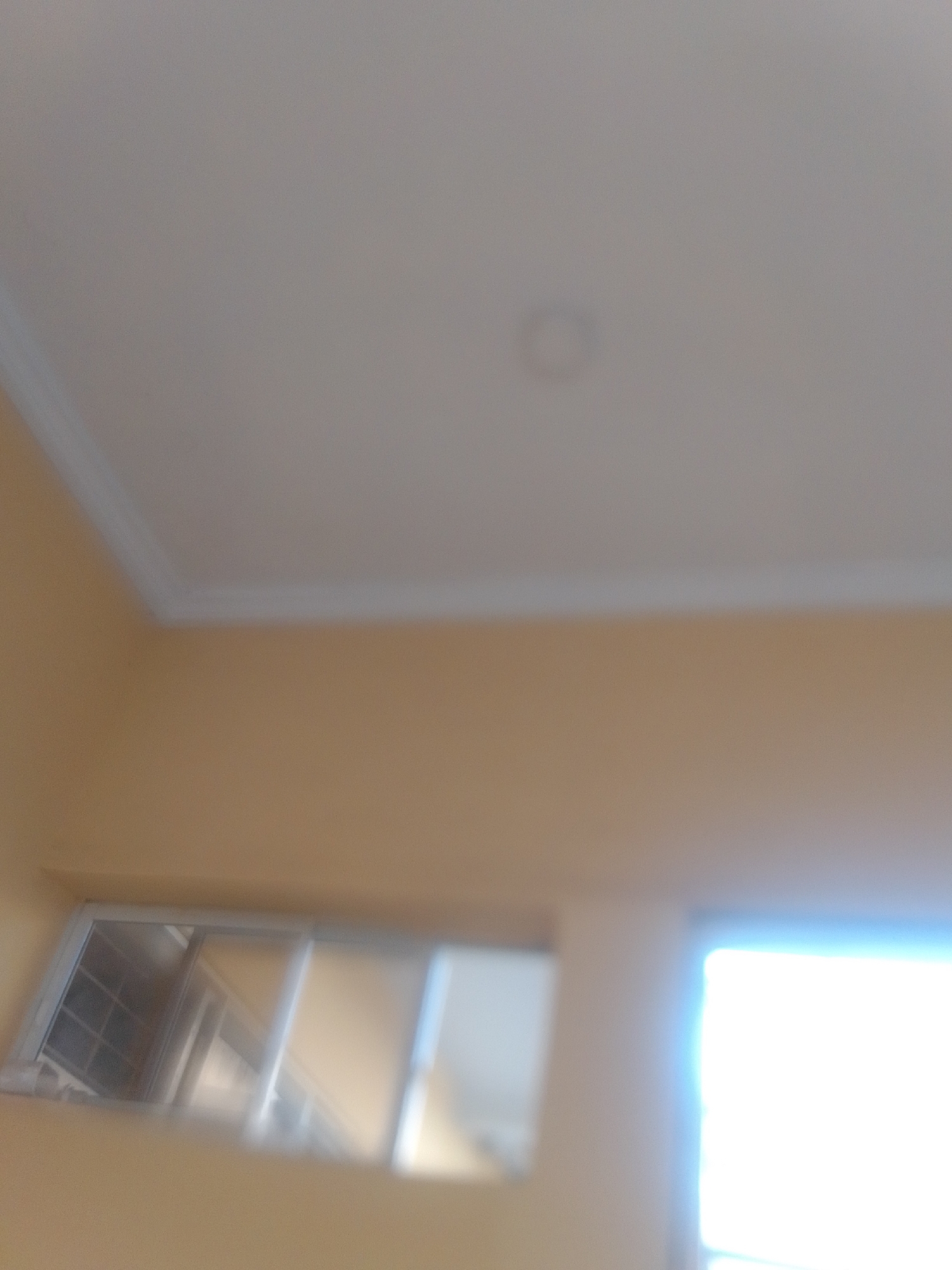 Indoor snapshots: hair, accessories, and room details