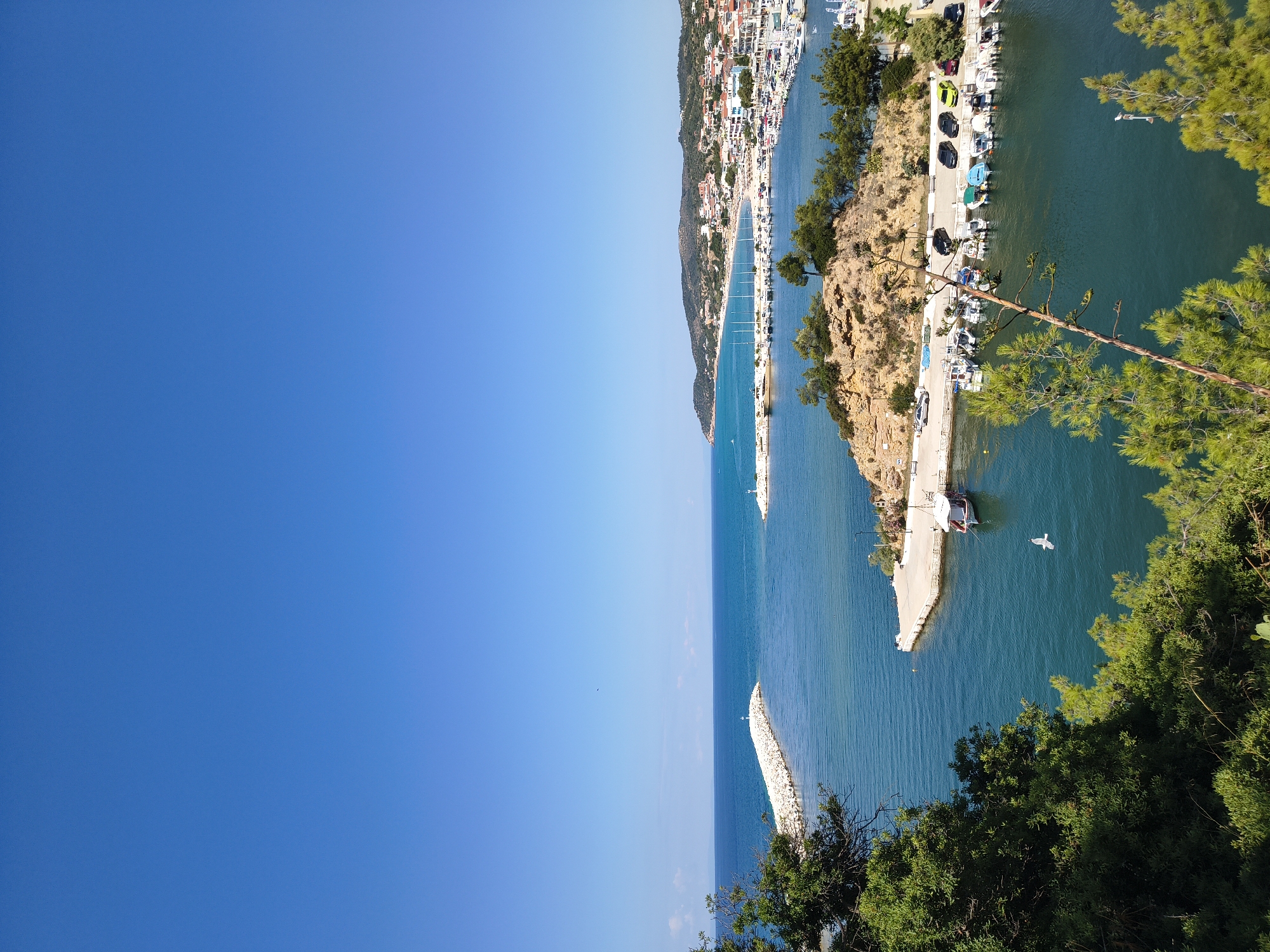 Harbor views and pine forest roads in Limenaria, Greece