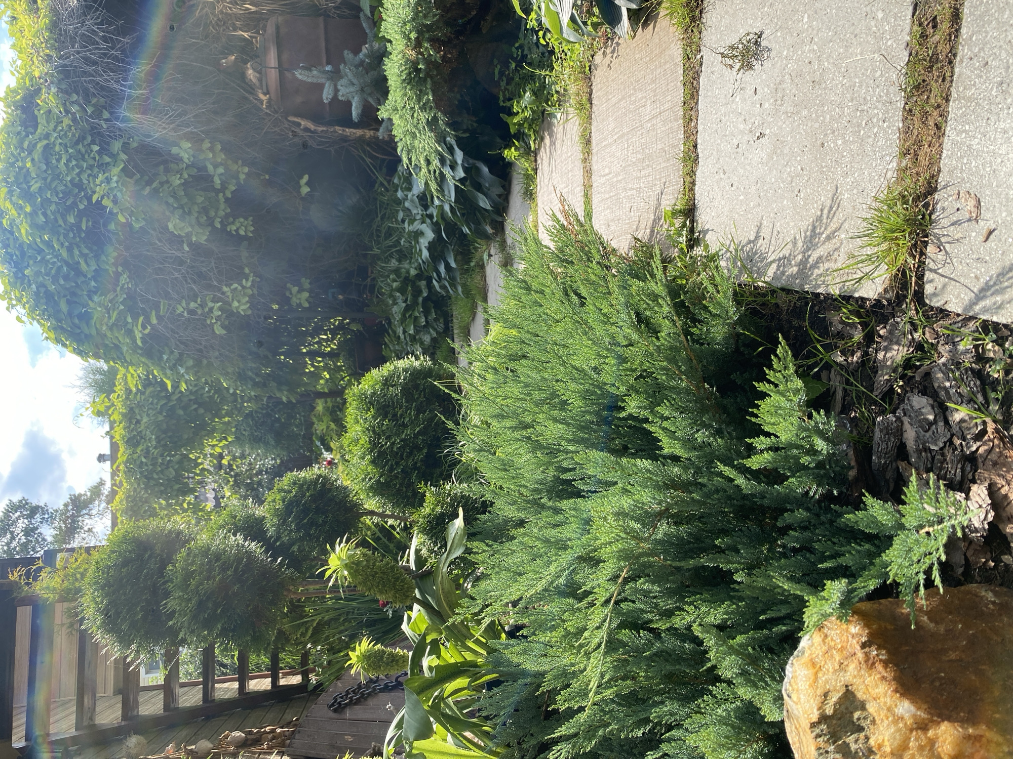 Stone path cuts through a lush, boulder-lined garden